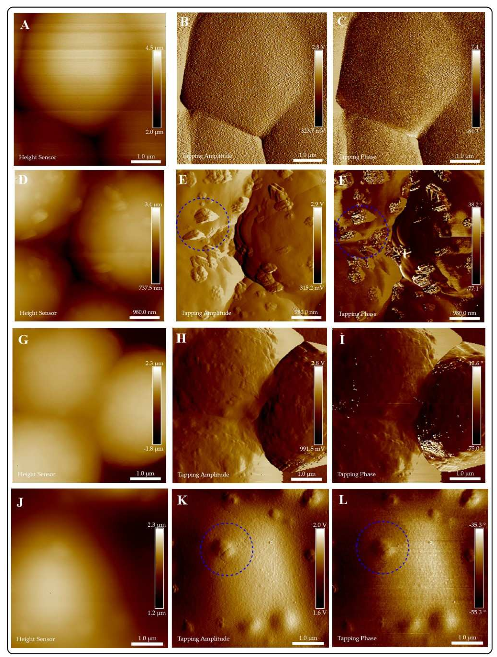 Jof 07 00158 g009 Jof 07 00158 g009