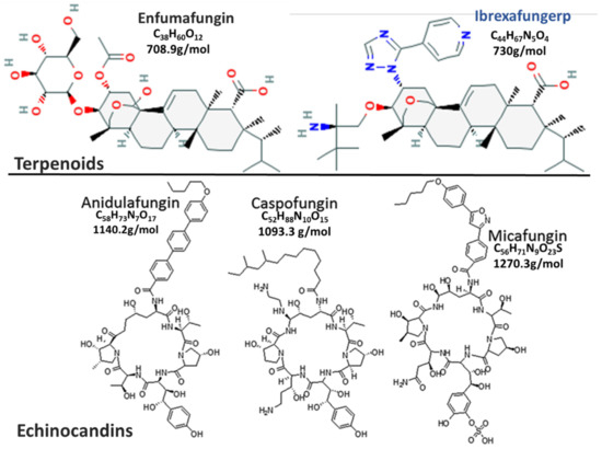 Jof 07 00163 g001 550