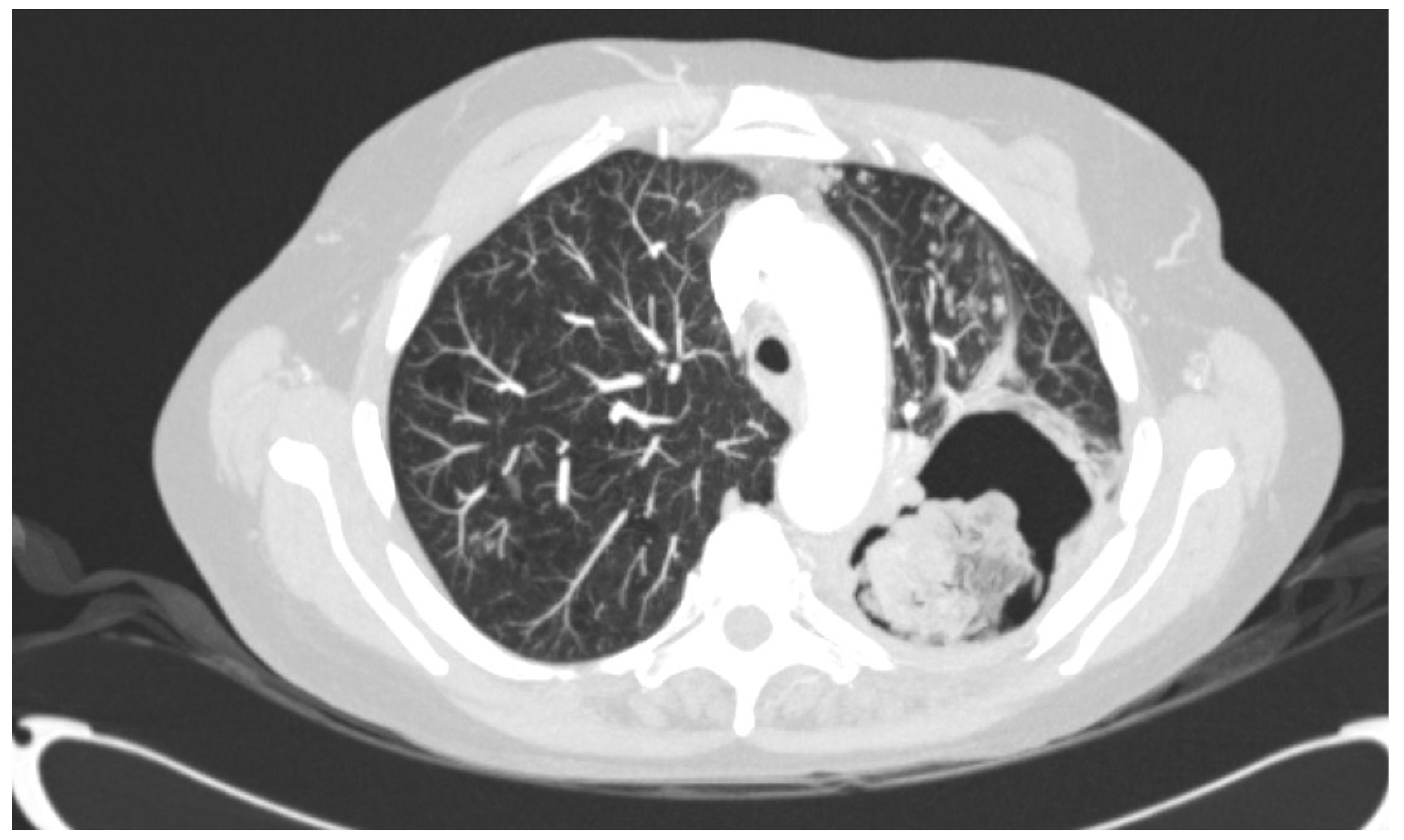 Jof 07 00164 g001 Jof 07 00164 g001