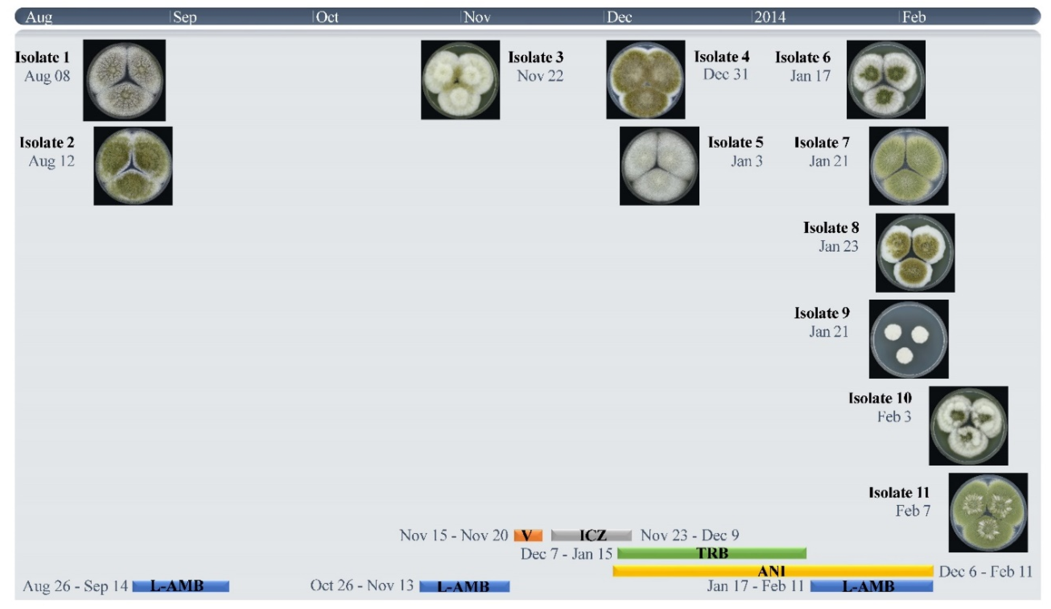 Jof 07 00164 g002 Jof 07 00164 g002