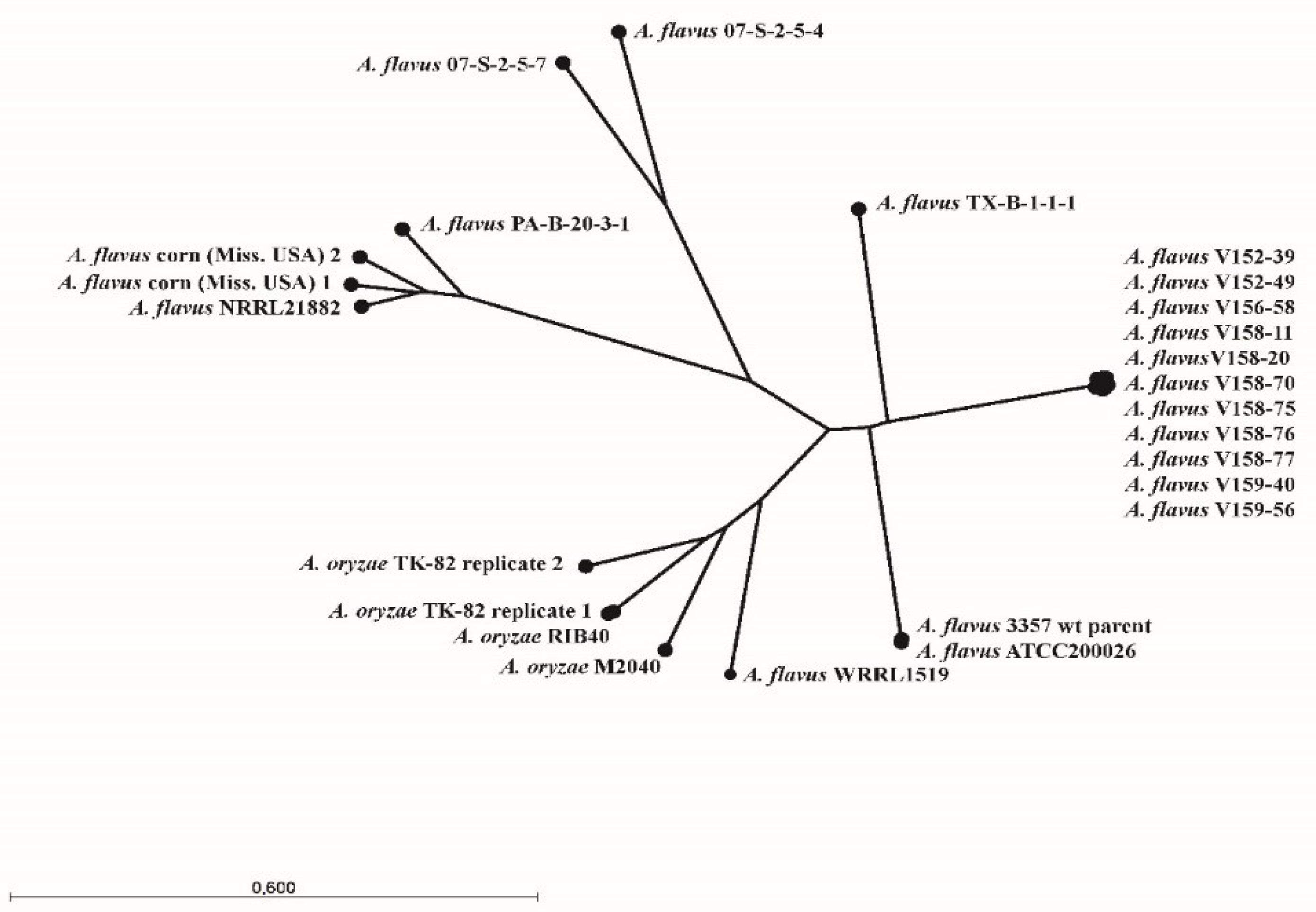 Jof 07 00164 g003 Jof 07 00164 g003