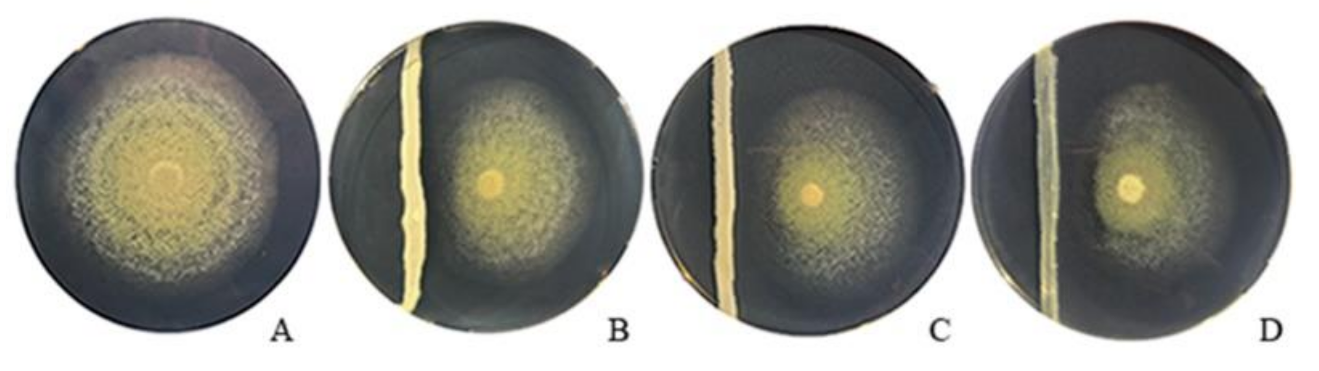 Jof 07 00166 g002 Jof 07 00166 g002