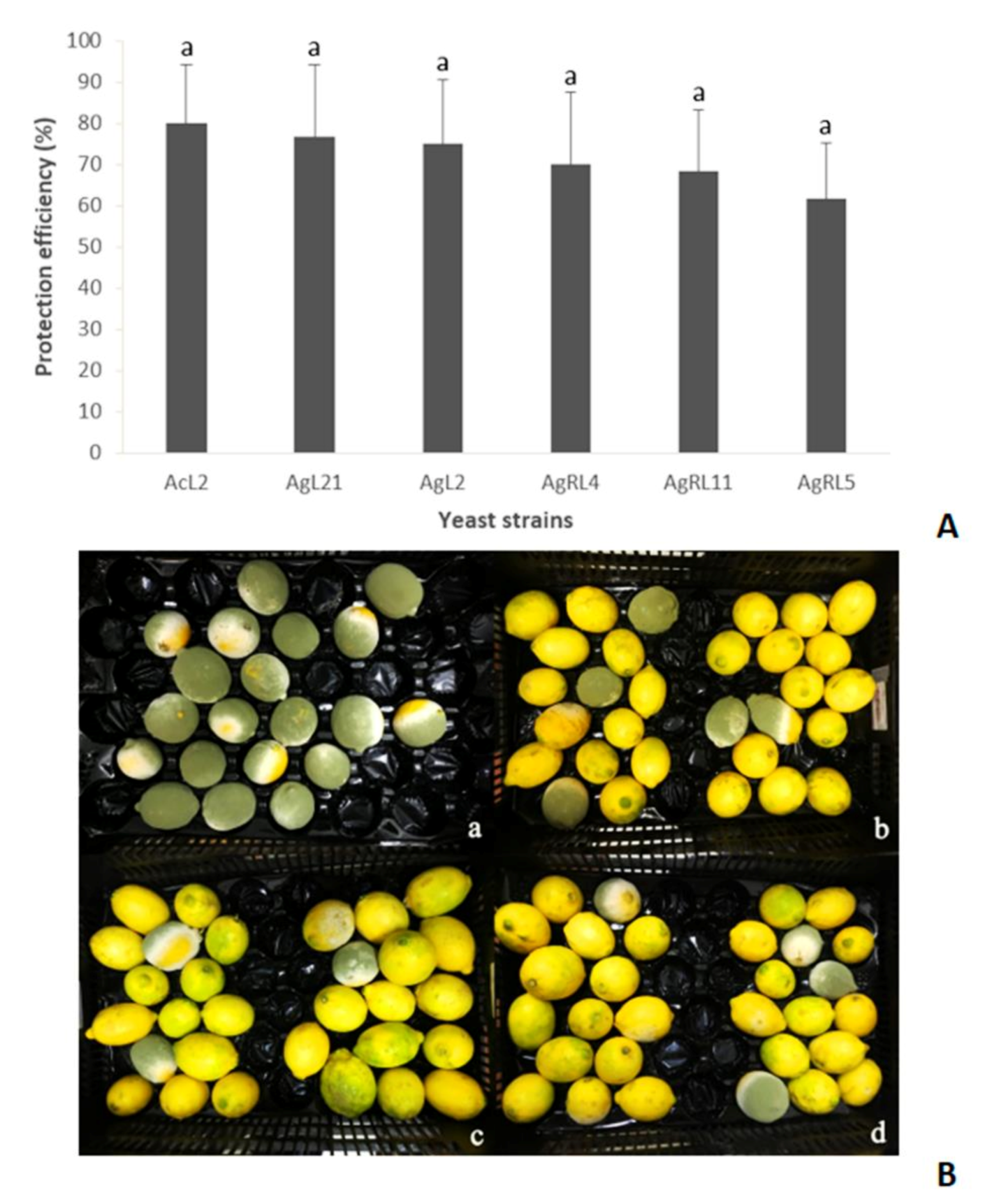 Jof 07 00166 g004 Jof 07 00166 g004