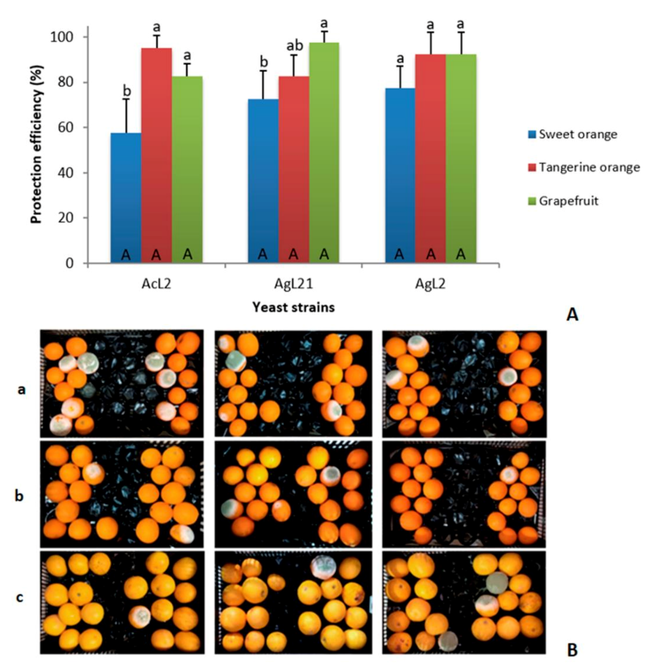 Jof 07 00166 g005 Jof 07 00166 g005