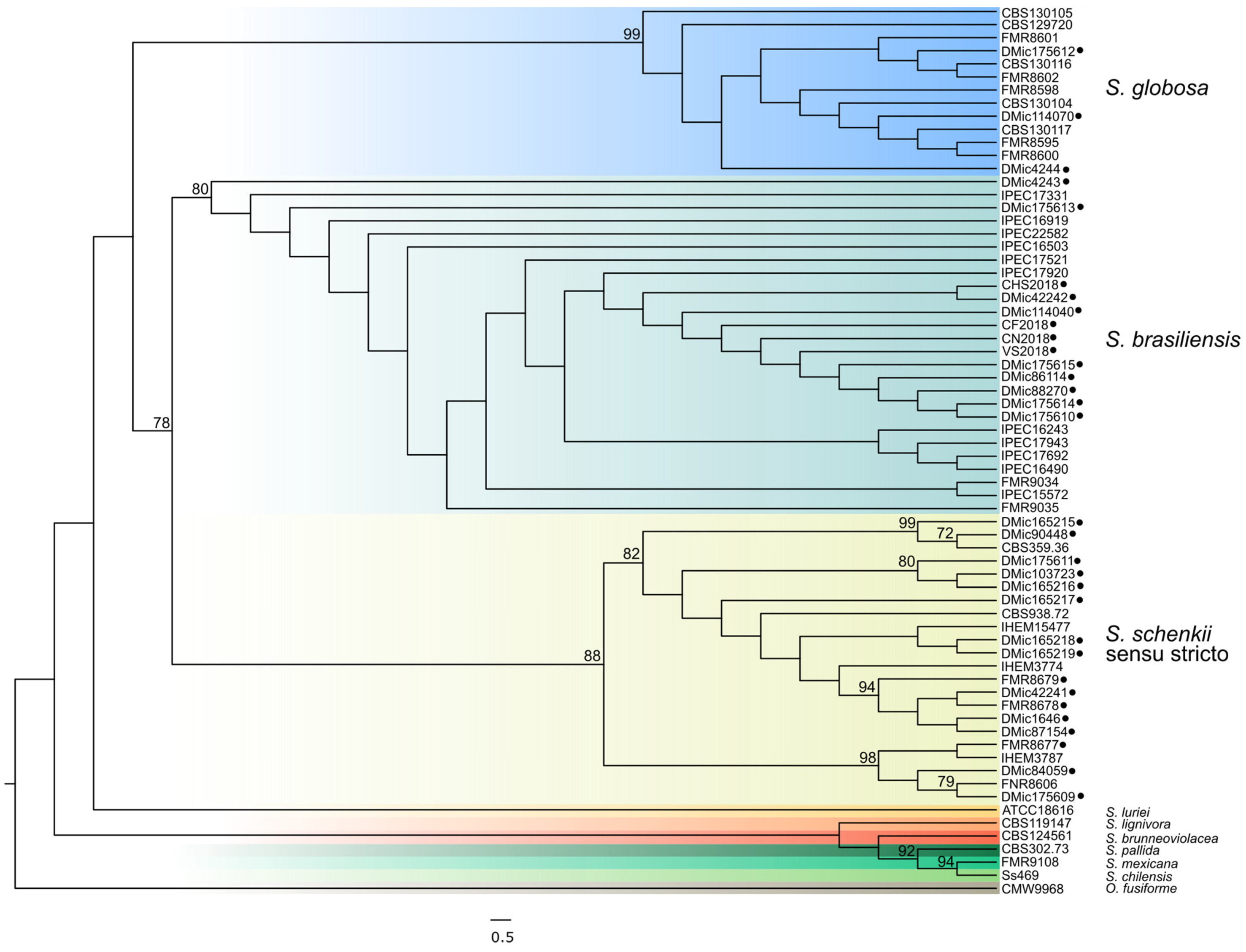 Jof 07 00170 g002 Jof 07 00170 g002