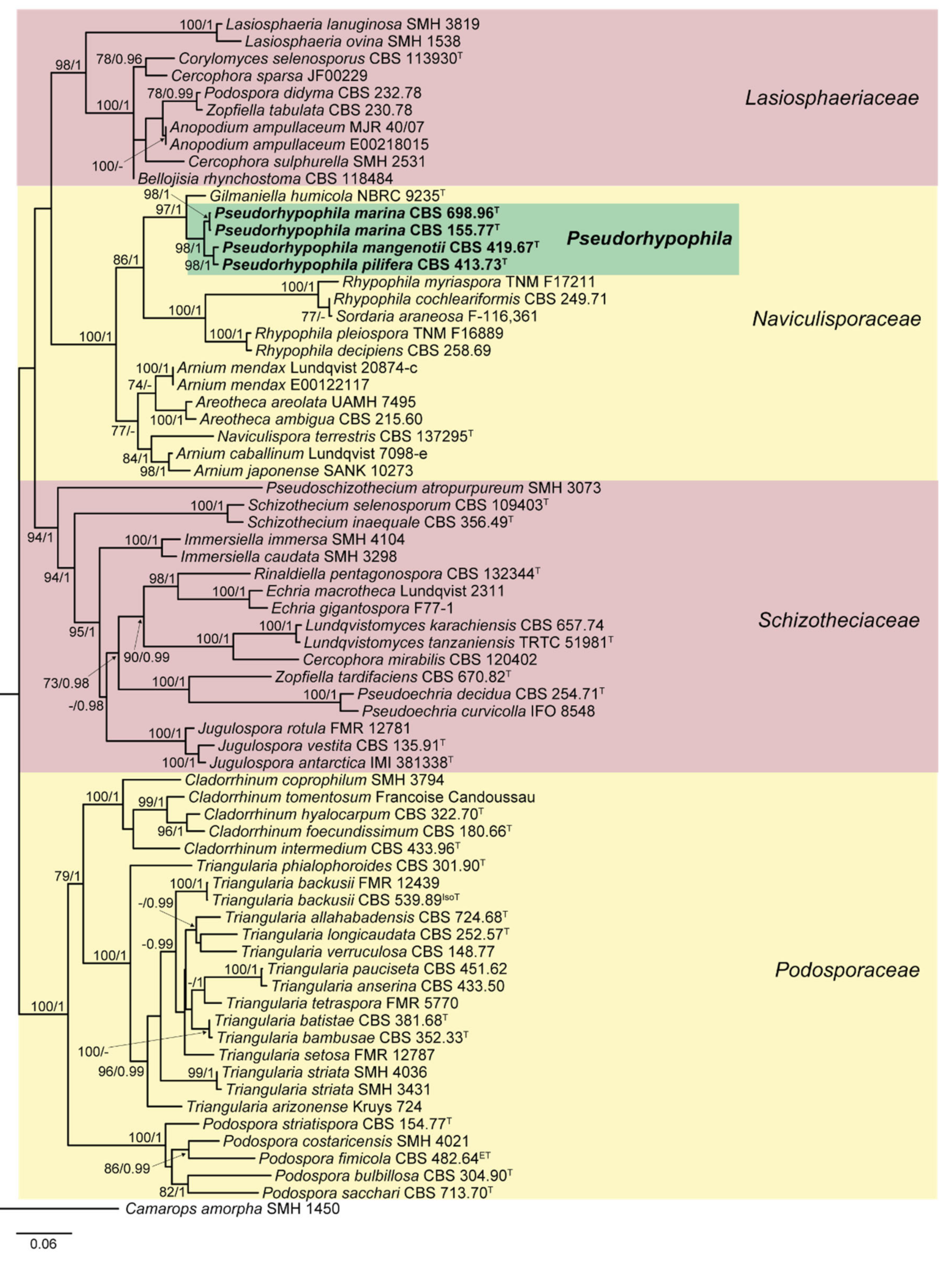 Jof 07 00181 g001 Jof 07 00181 g001