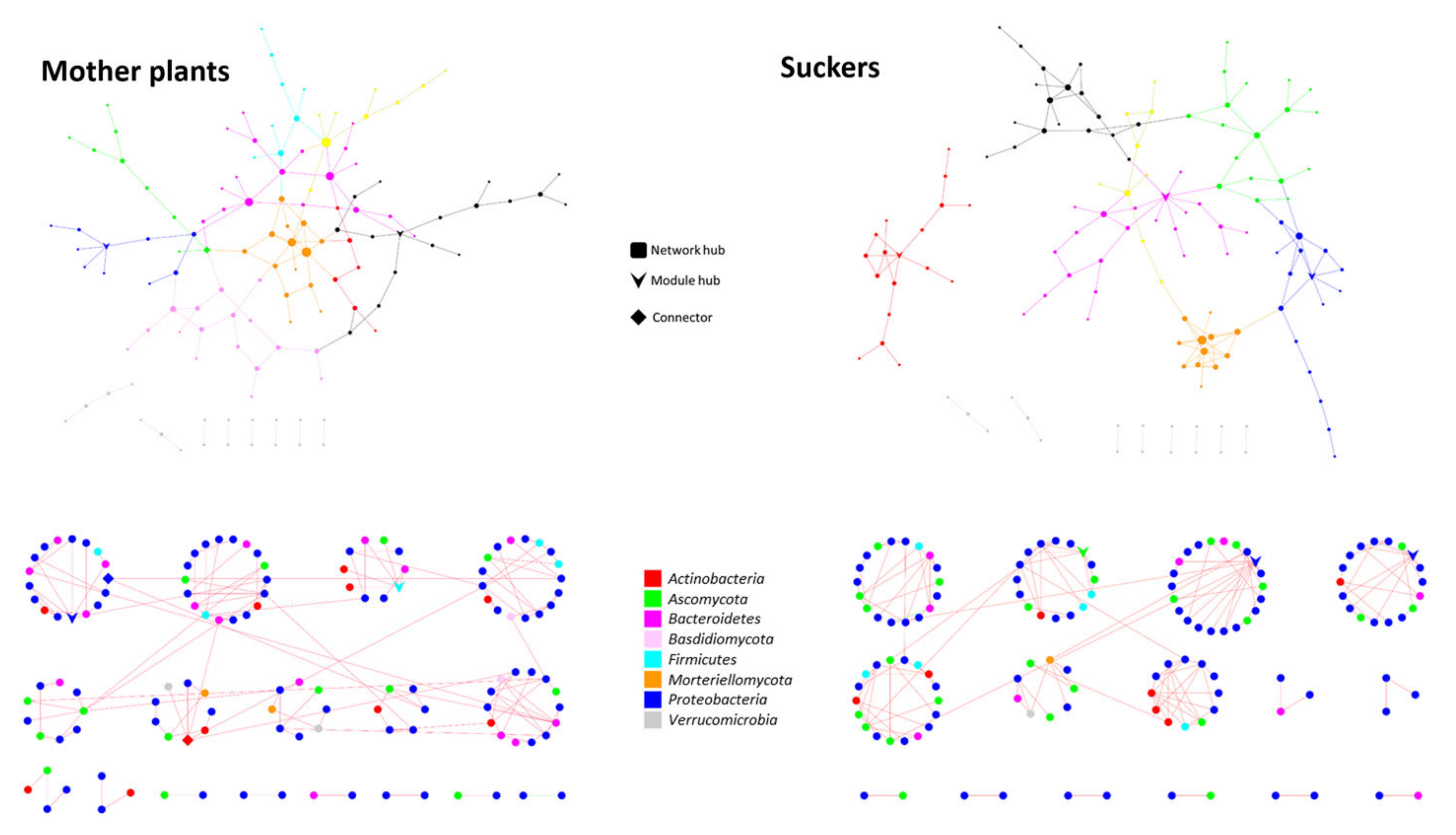 Jof 07 00194 g003 Jof 07 00194 g003