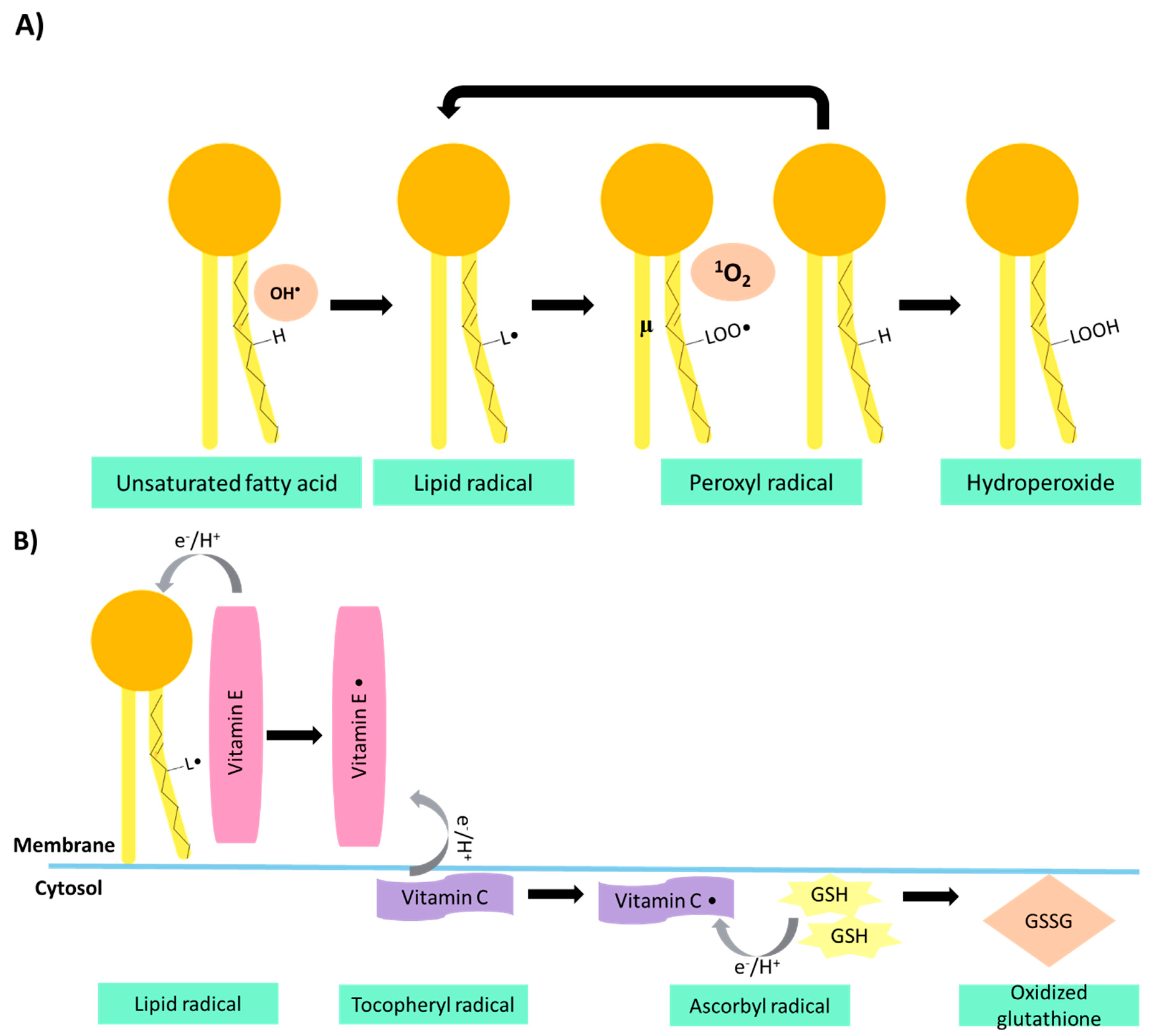 Jof 07 00196 g002 Jof 07 00196 g002