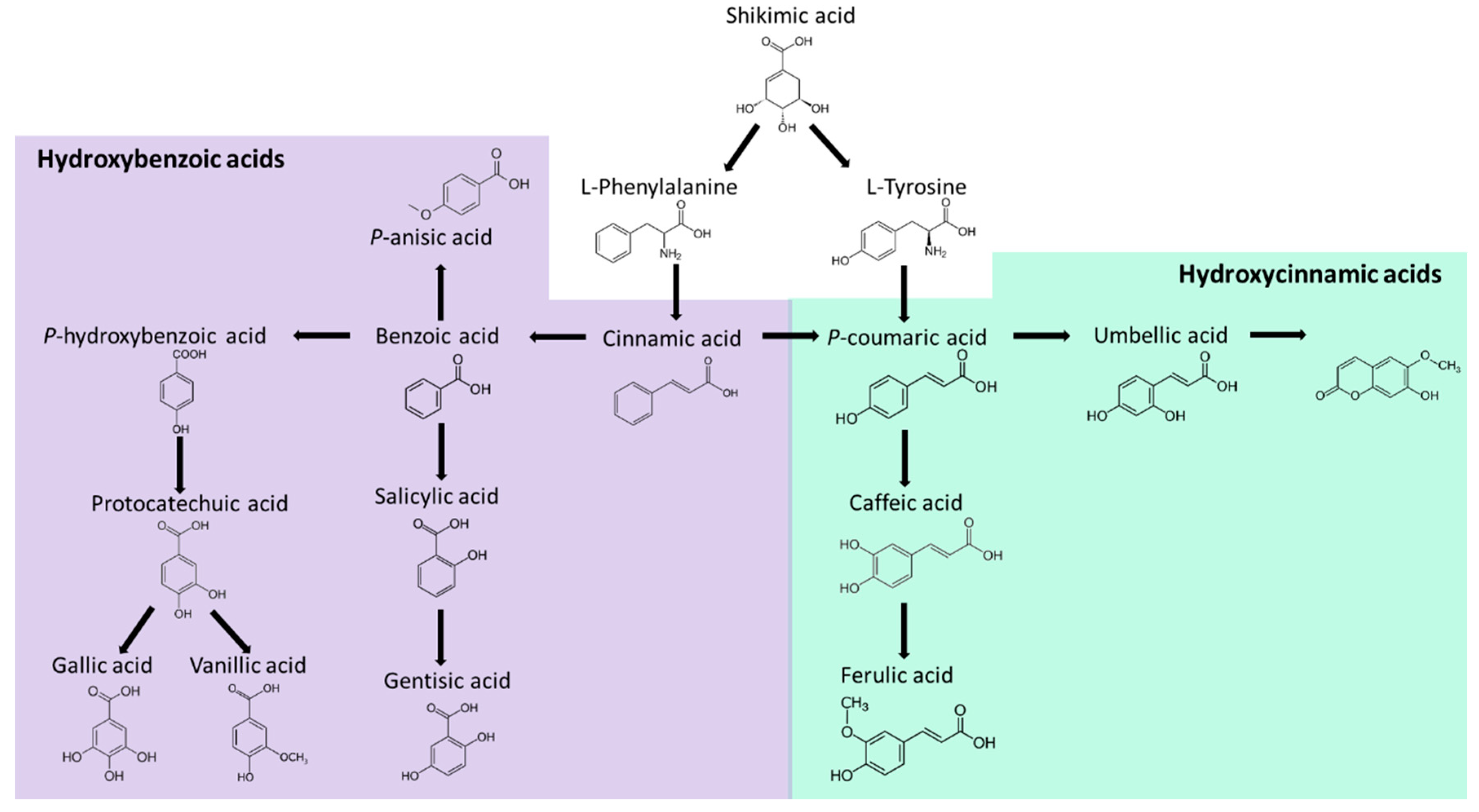Jof 07 00196 g003 Jof 07 00196 g003