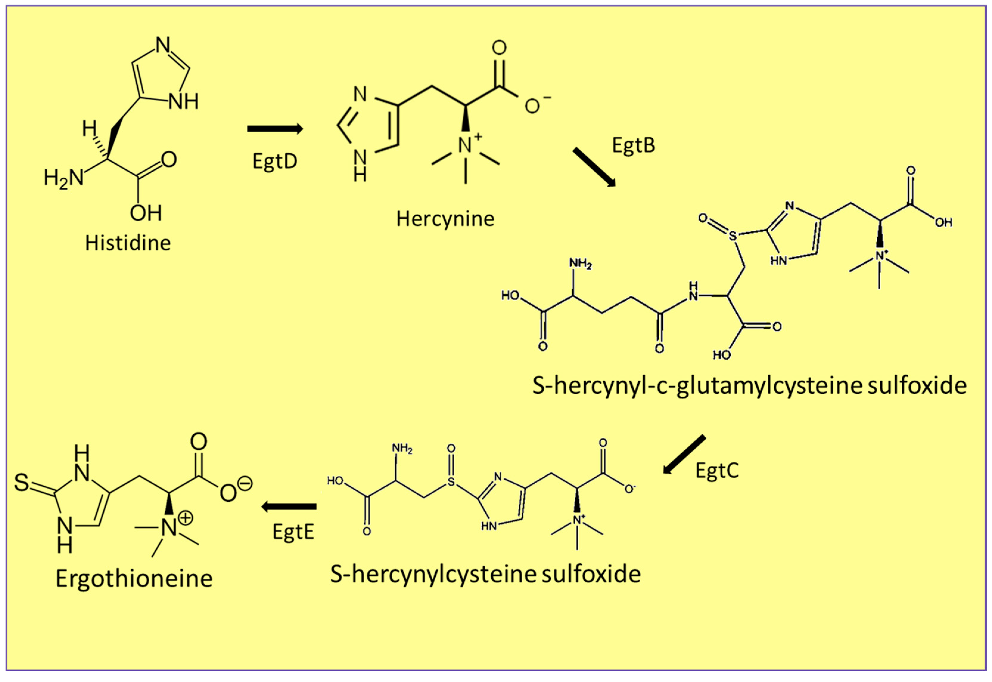Jof 07 00196 g004 Jof 07 00196 g004