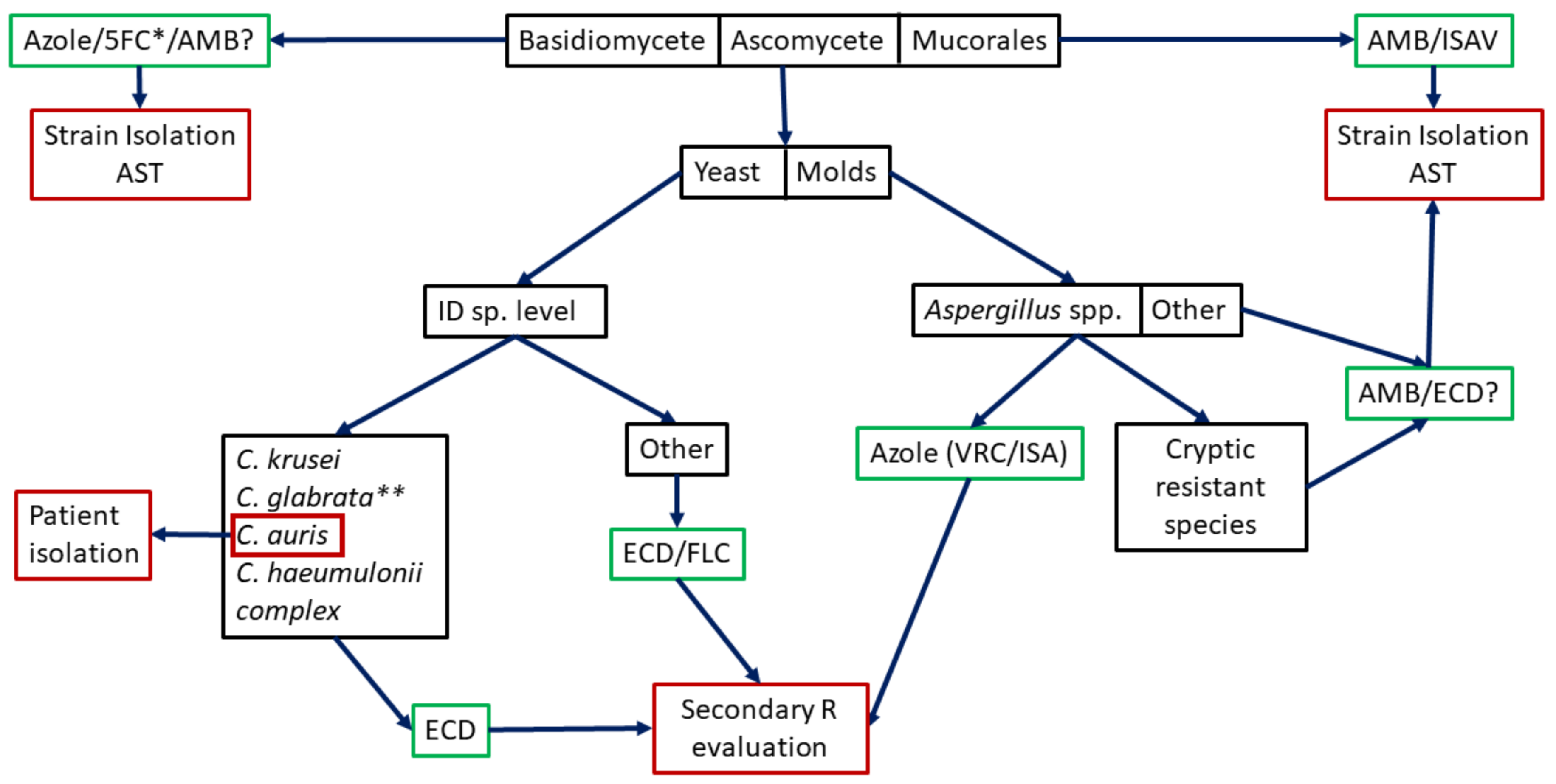 Jof 07 00197 g001 Jof 07 00197 g001
