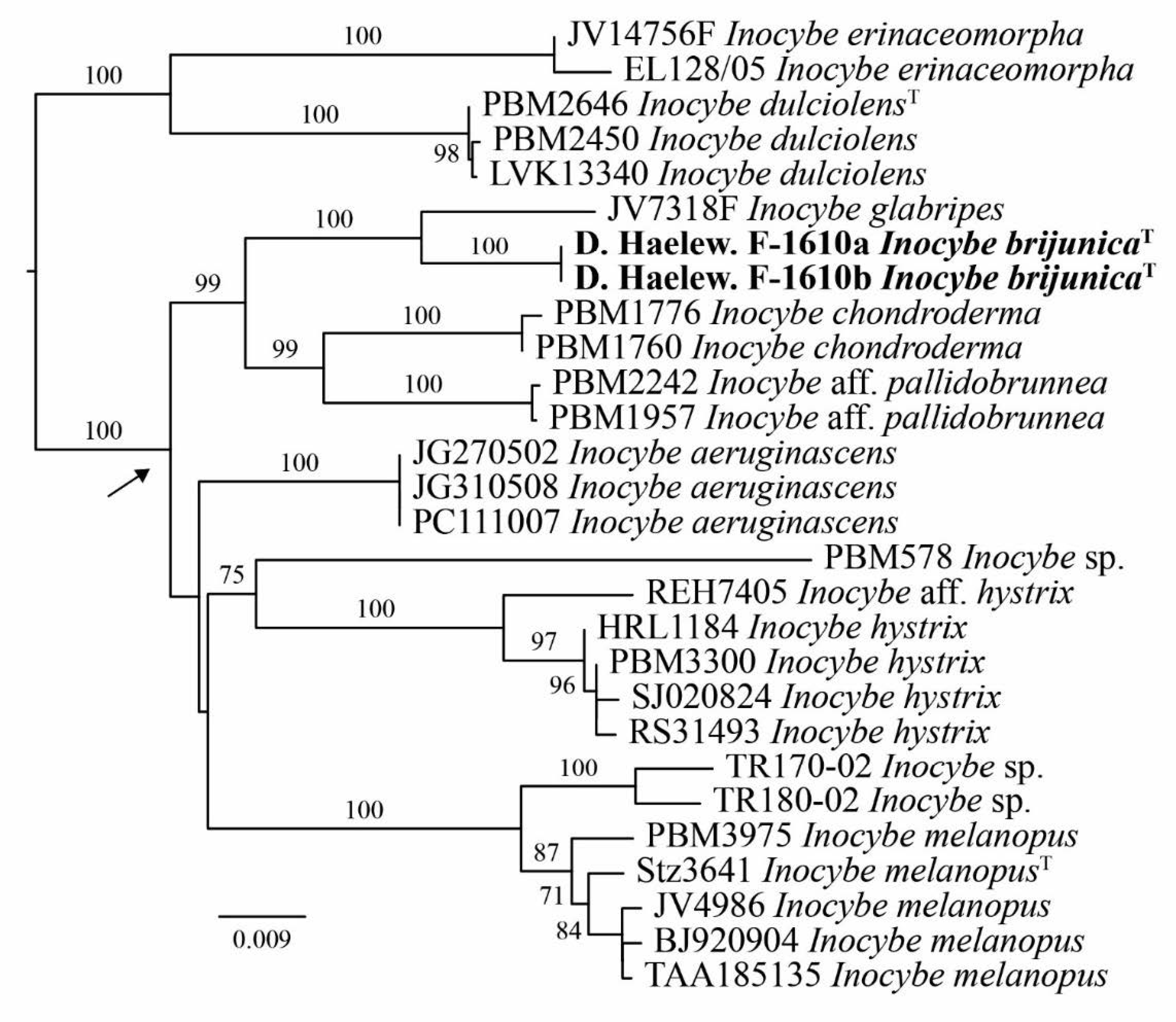 Jof 07 00199 g001 Jof 07 00199 g001