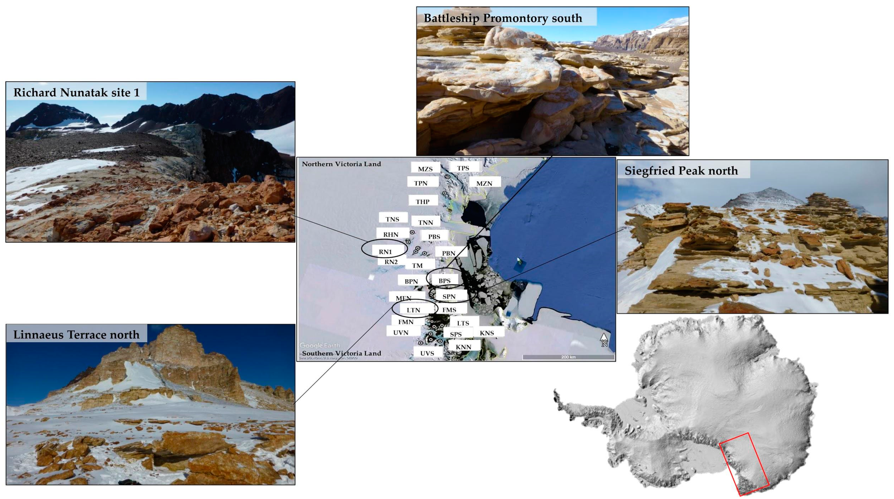 Jof 07 00213 g001 Jof 07 00213 g001