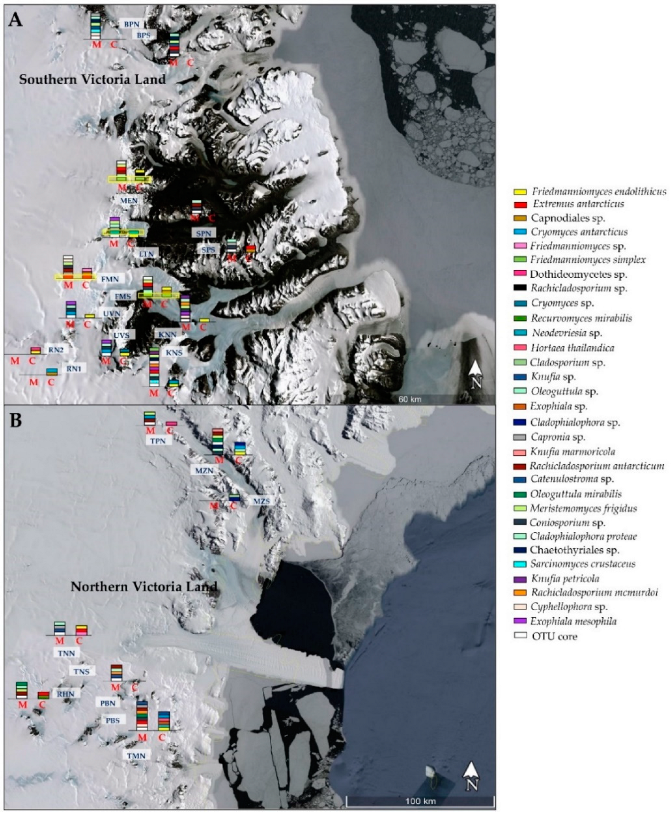 Jof 07 00213 g004 Jof 07 00213 g004