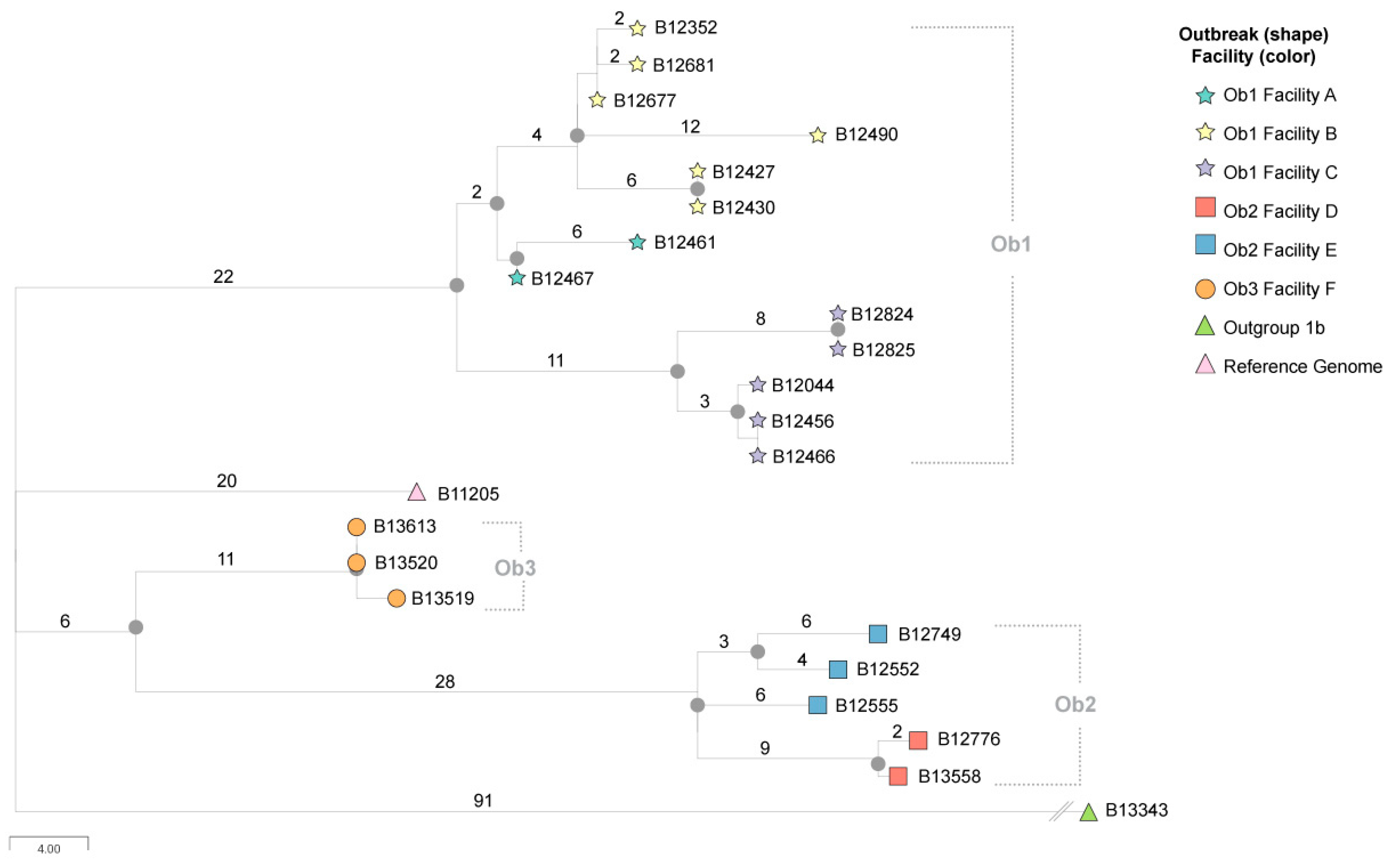 Jof 07 00214 g001 Jof 07 00214 g001