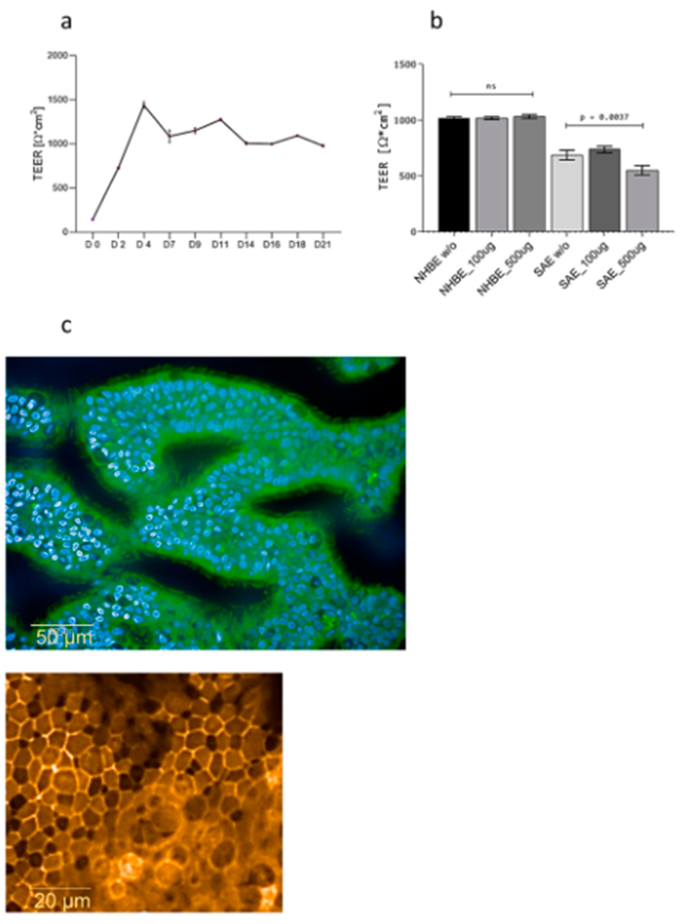Jof 07 00221 g001 Jof 07 00221 g001