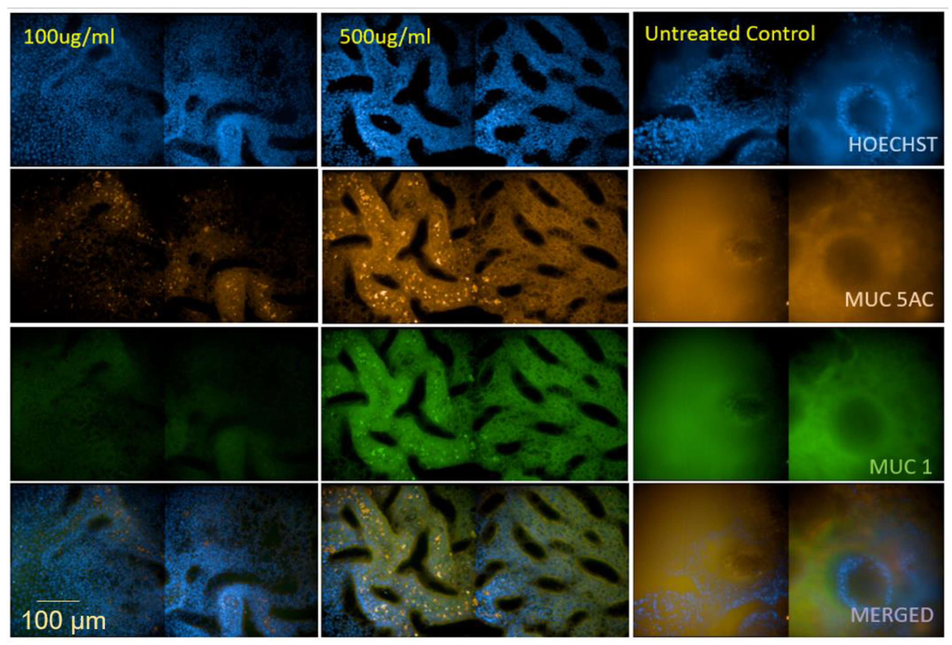 Jof 07 00221 g002 Jof 07 00221 g002