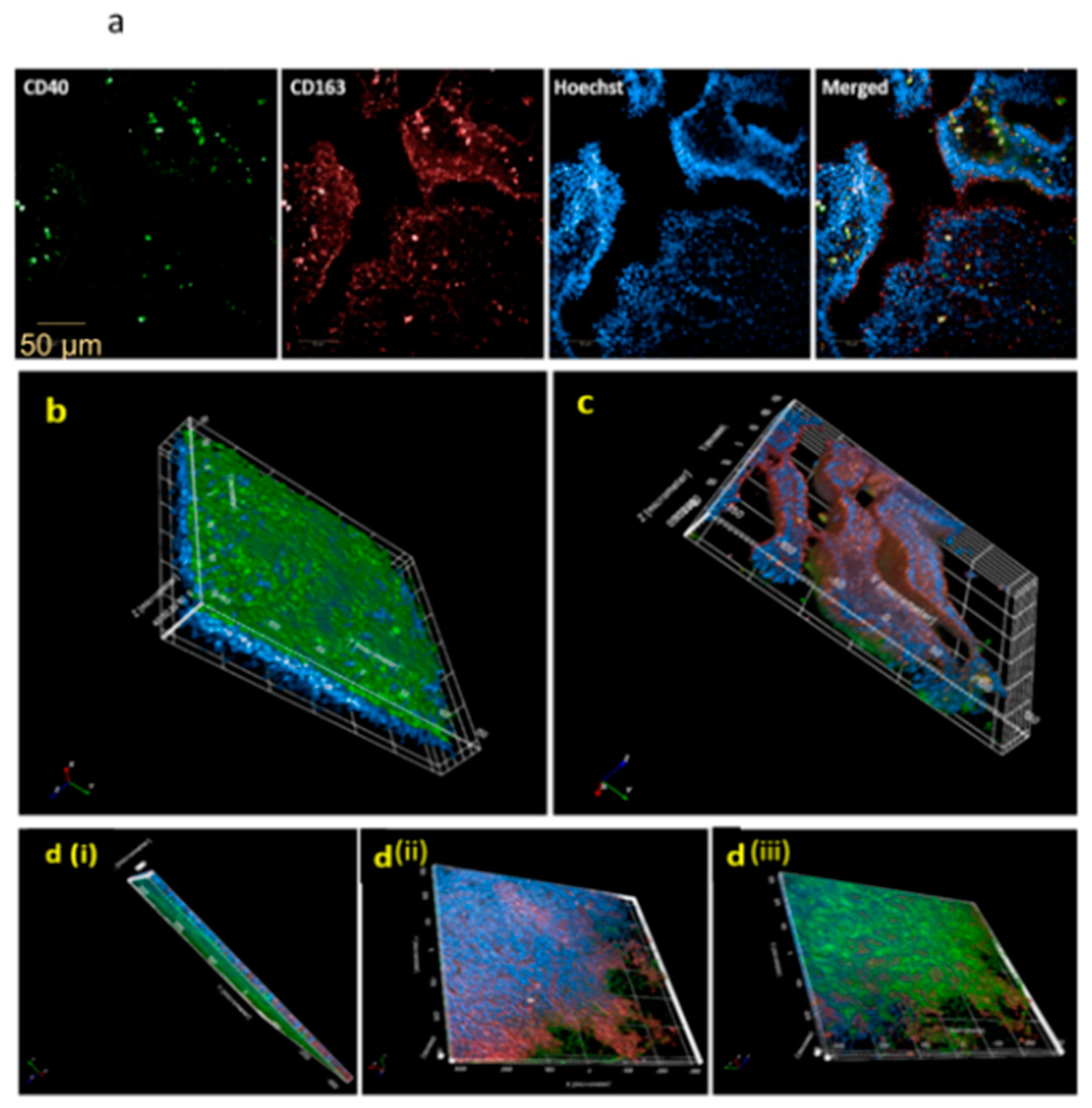 Jof 07 00221 g003 Jof 07 00221 g003