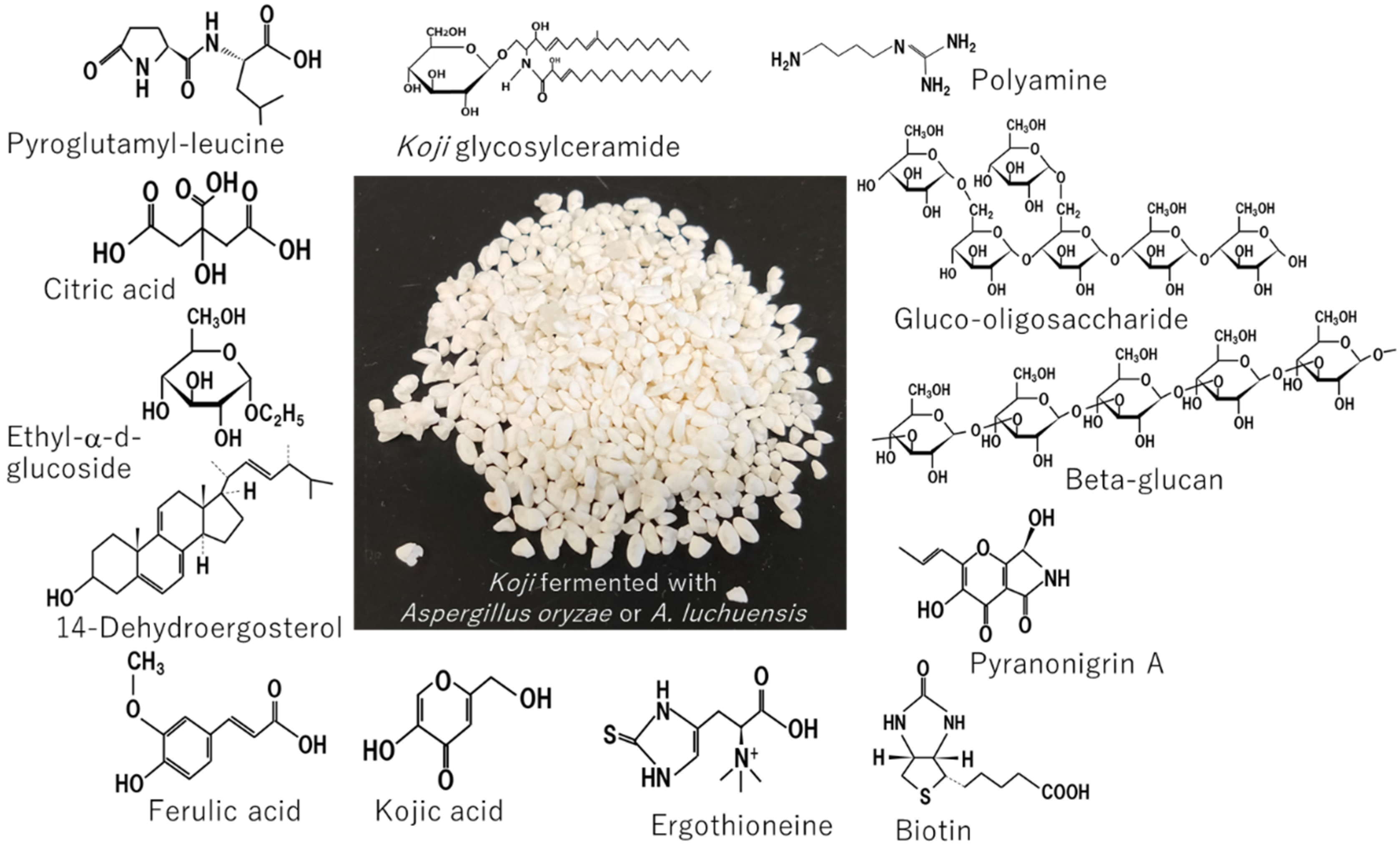 Jof 07 00243 g015 Jof 07 00243 g015