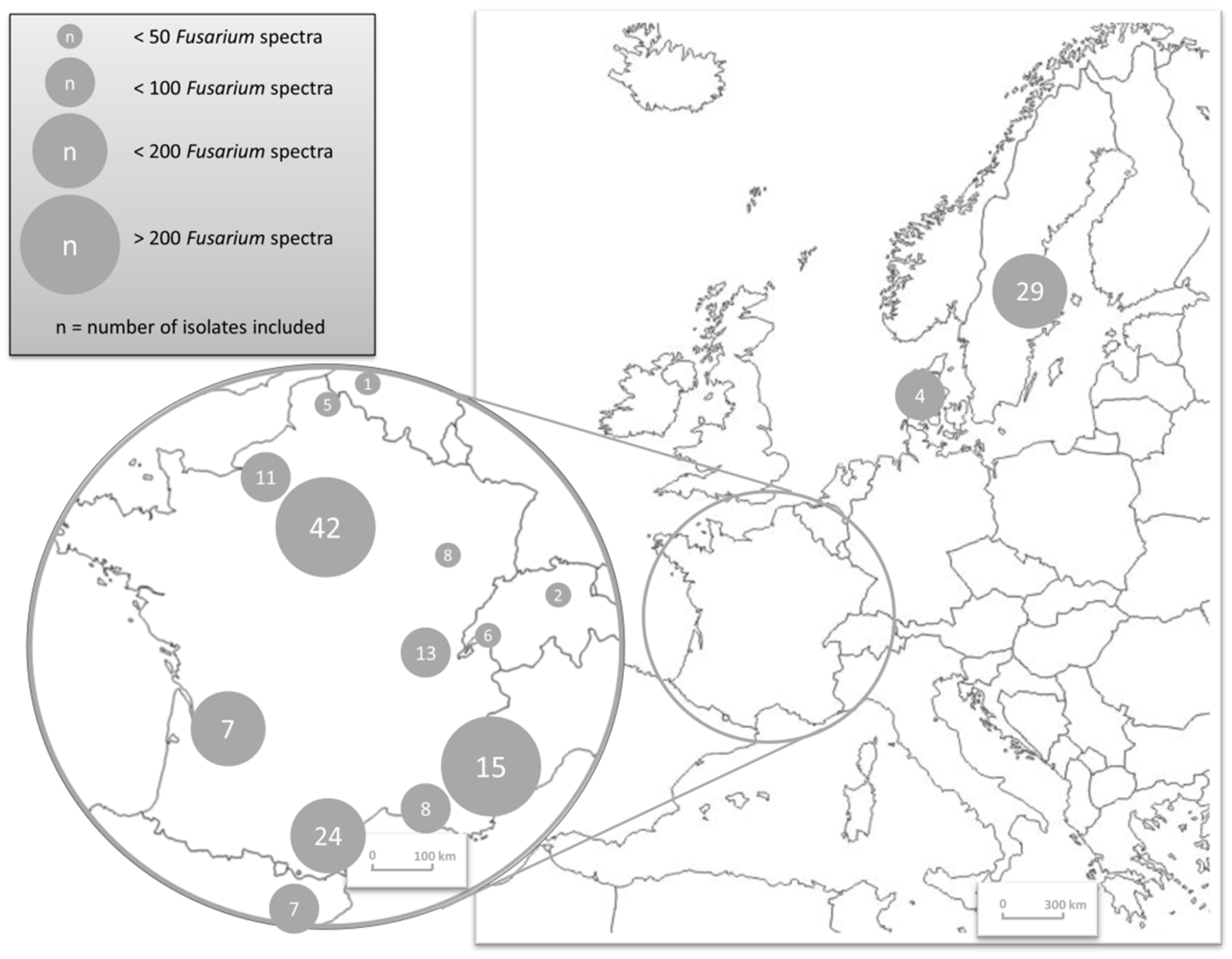 Jof 07 00246 g001 Jof 07 00246 g001