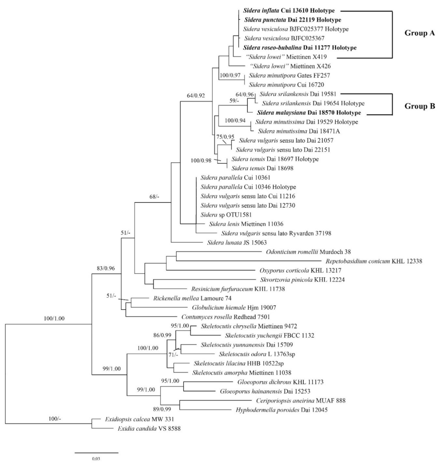 Jof 07 00251 g001 Jof 07 00251 g001