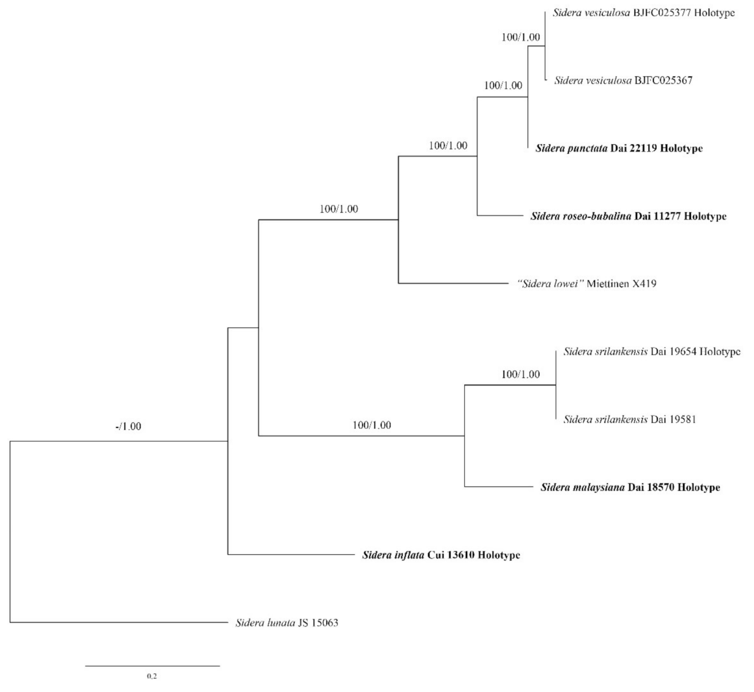 Jof 07 00251 g002 Jof 07 00251 g002