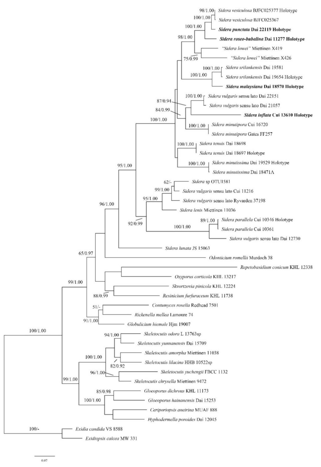 Jof 07 00251 g003 Jof 07 00251 g003
