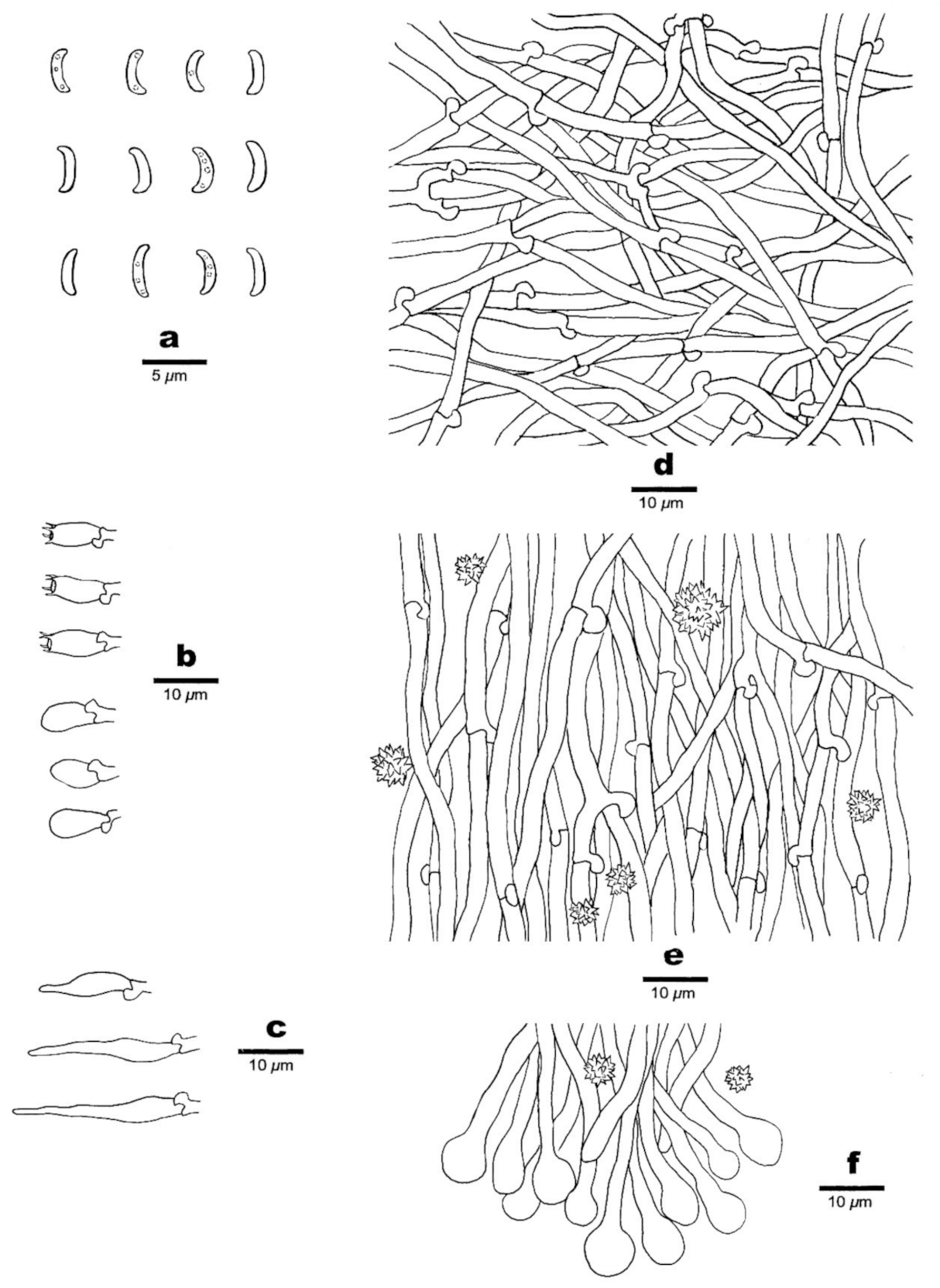 Jof 07 00251 g011 Jof 07 00251 g011