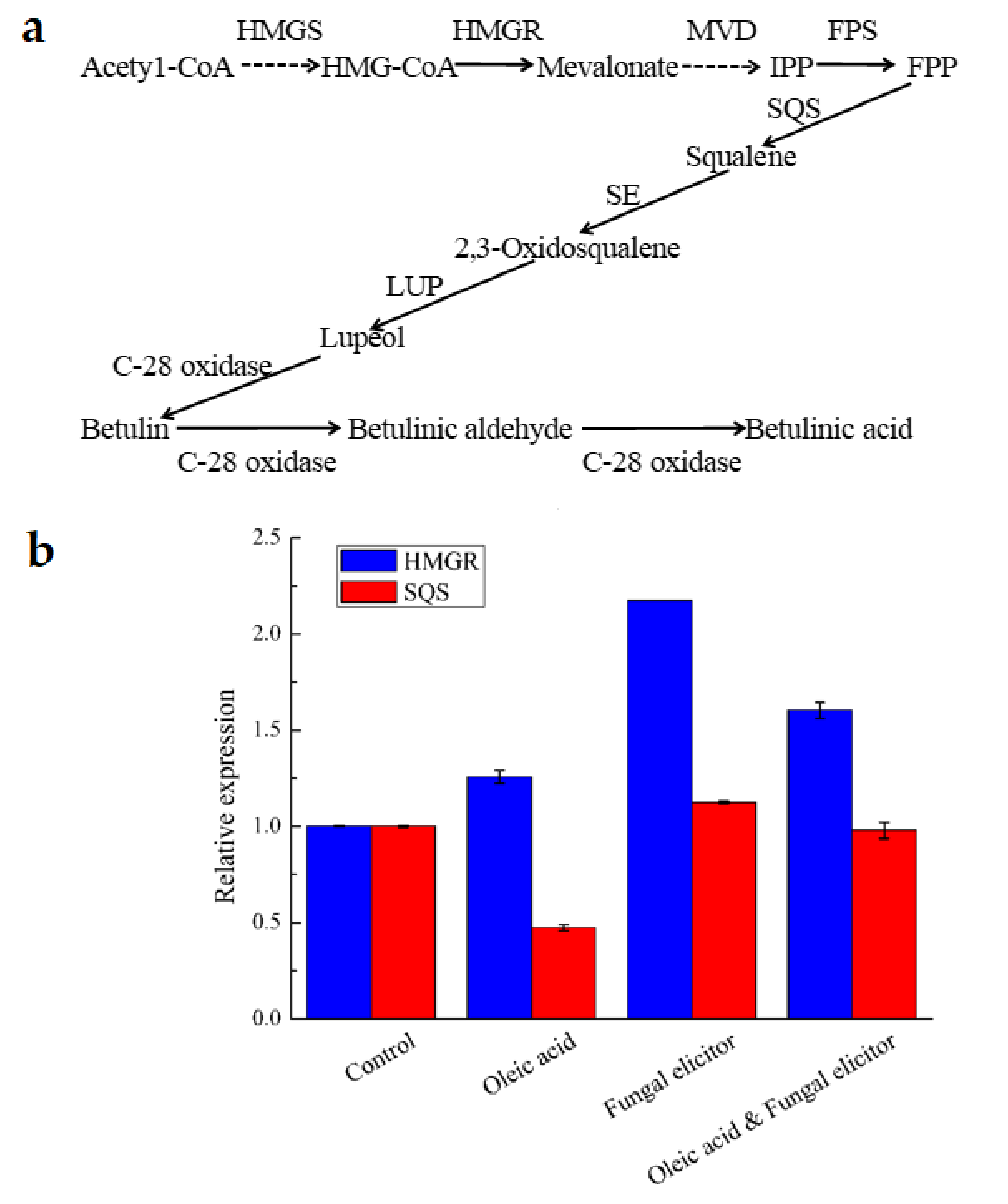 Jof 07 00266 g006 Jof 07 00266 g006