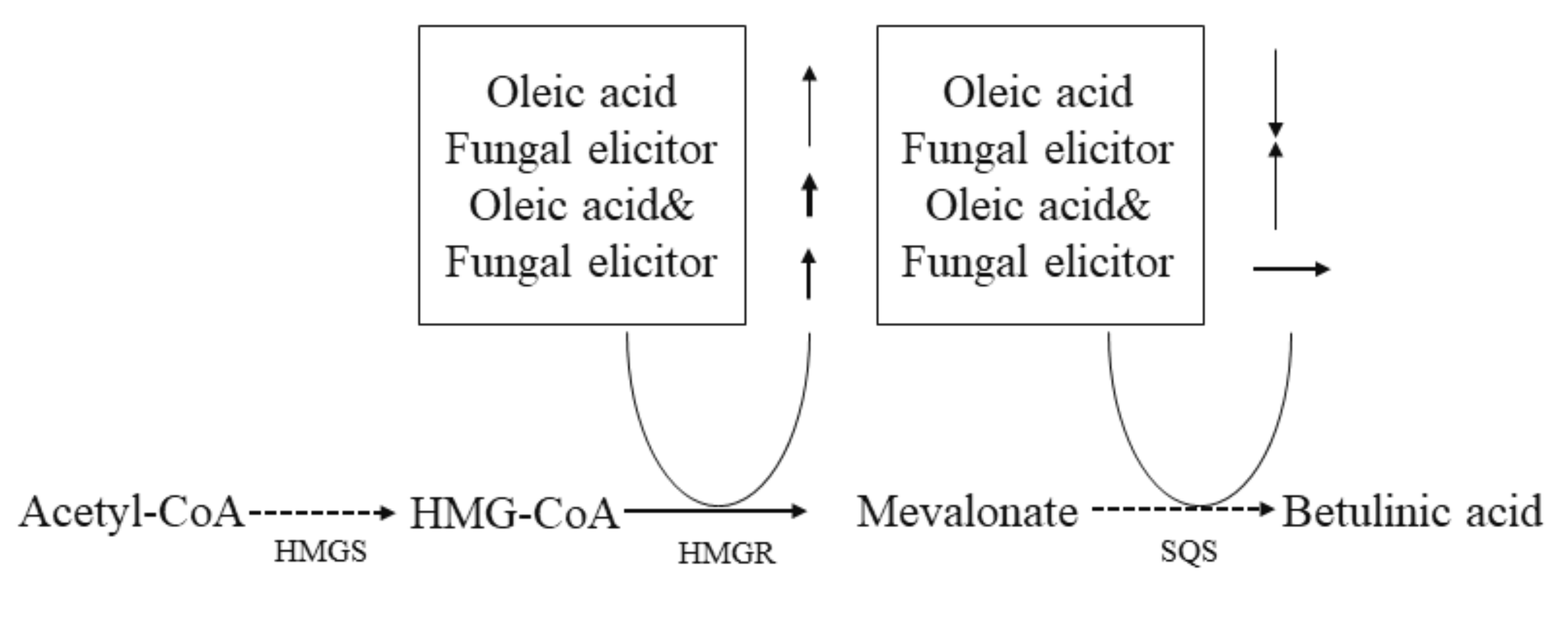 Jof 07 00266 g007 Jof 07 00266 g007