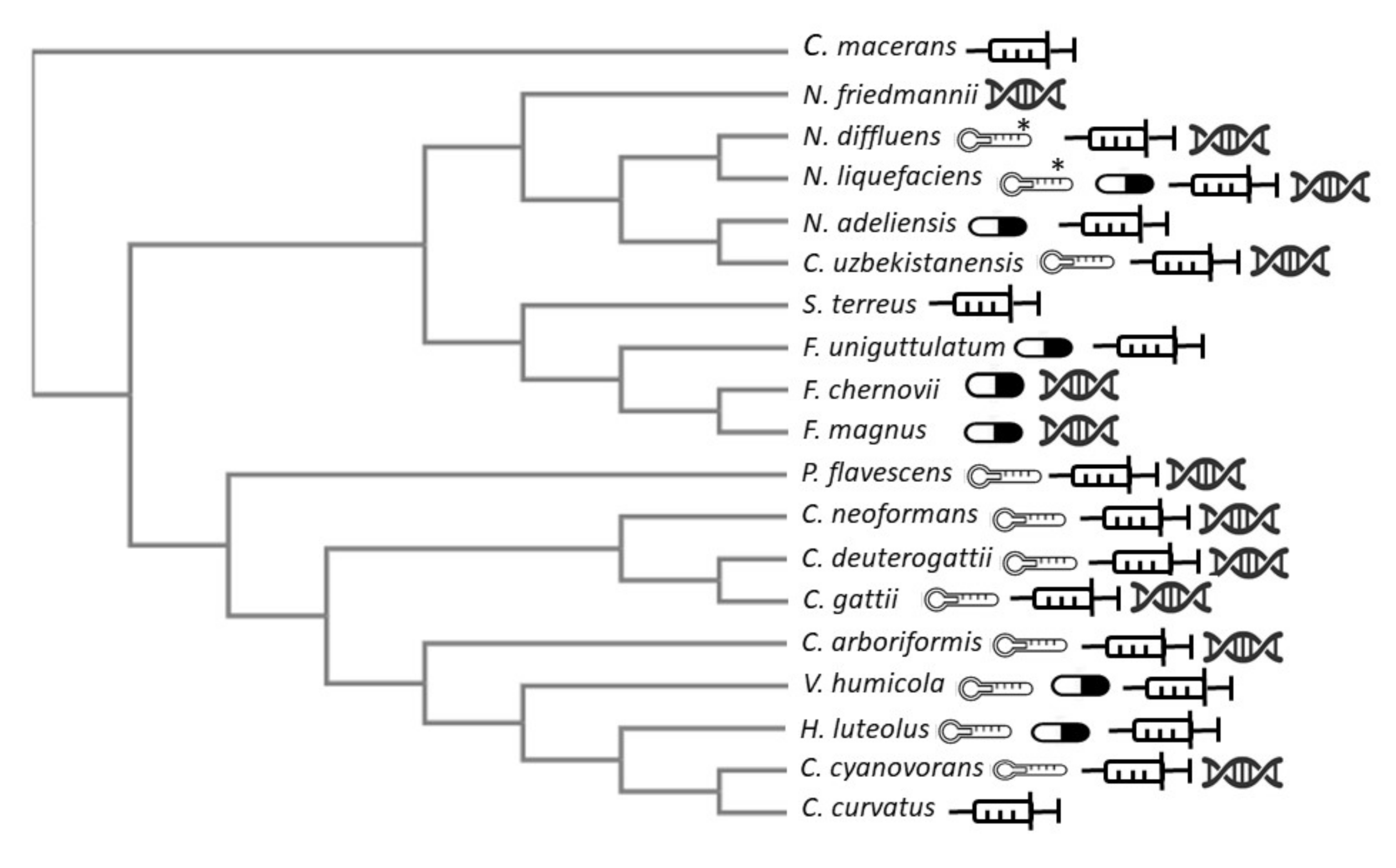 Jof 07 00279 g002 Jof 07 00279 g002