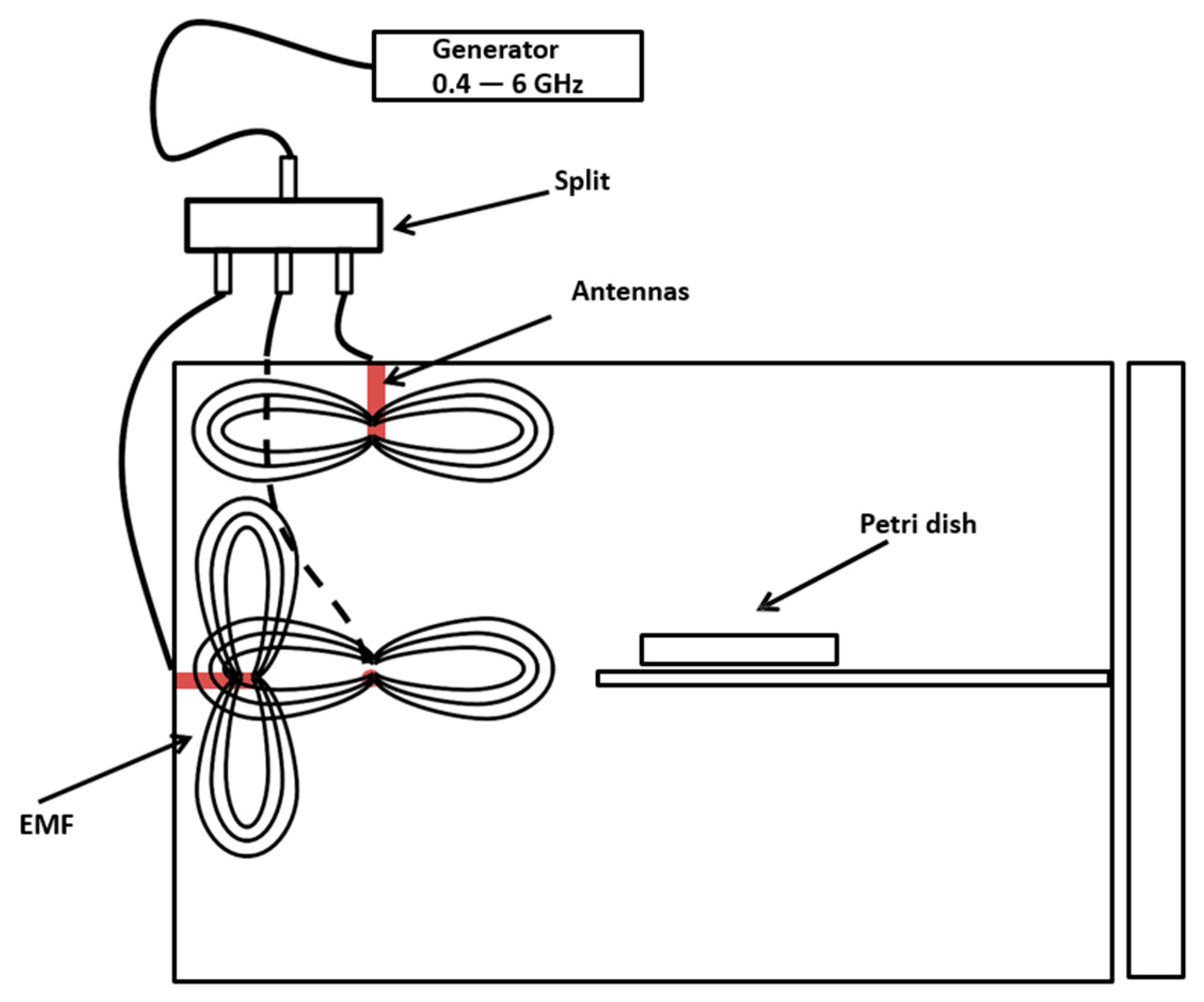 Jof 07 00281 g001 Jof 07 00281 g001