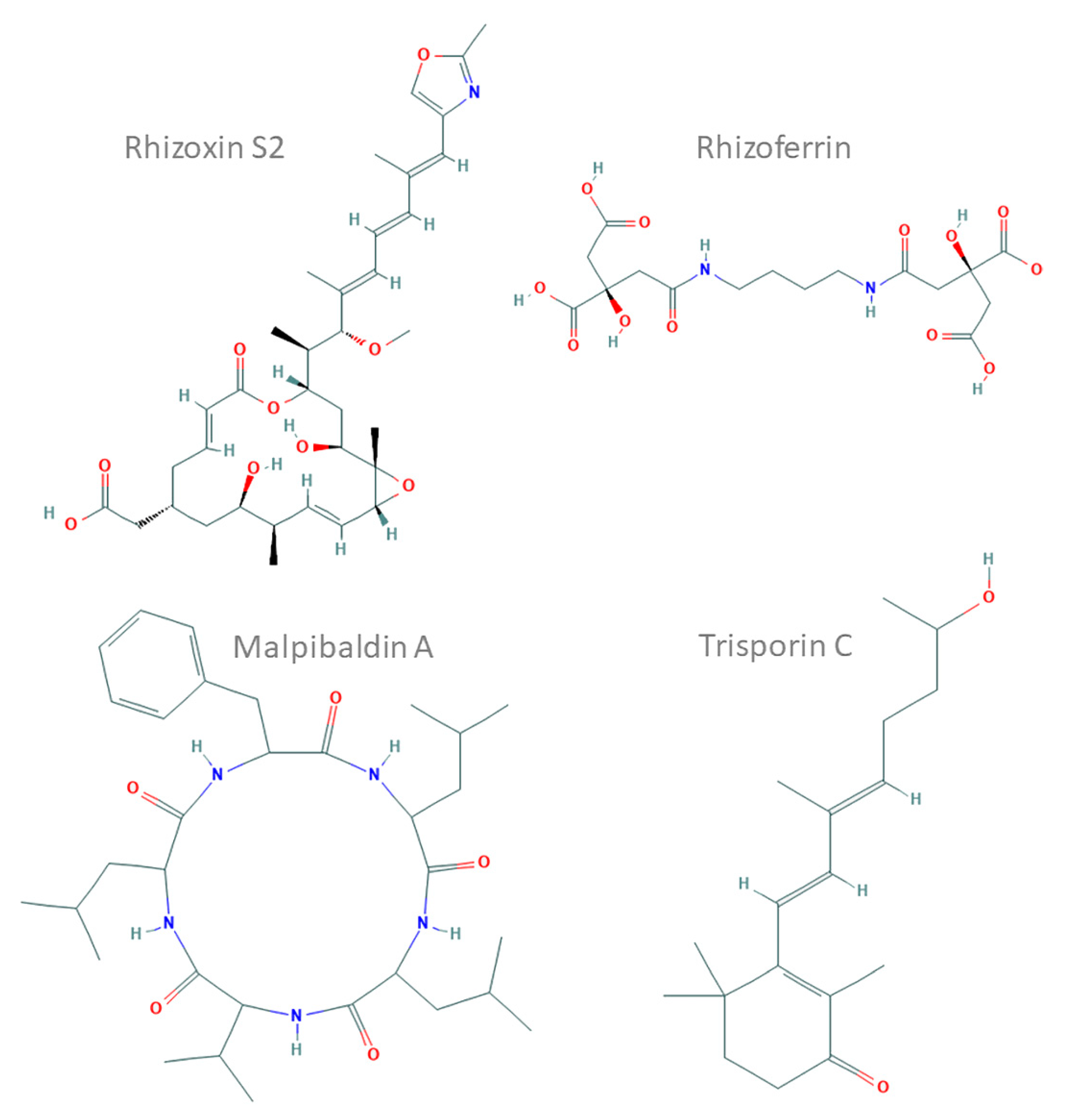 Jof 07 00285 g001 Jof 07 00285 g001