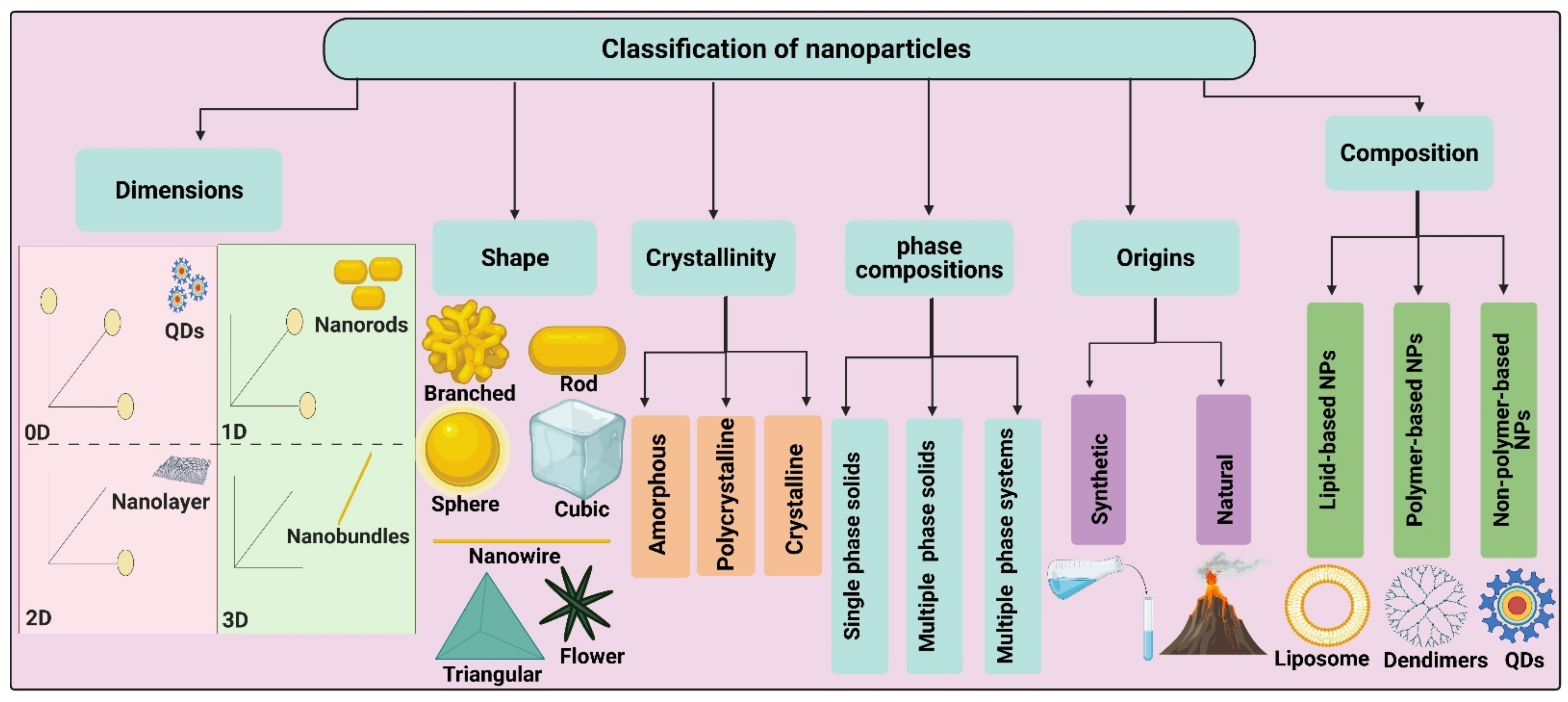 Jof 07 00291 g001 Jof 07 00291 g001
