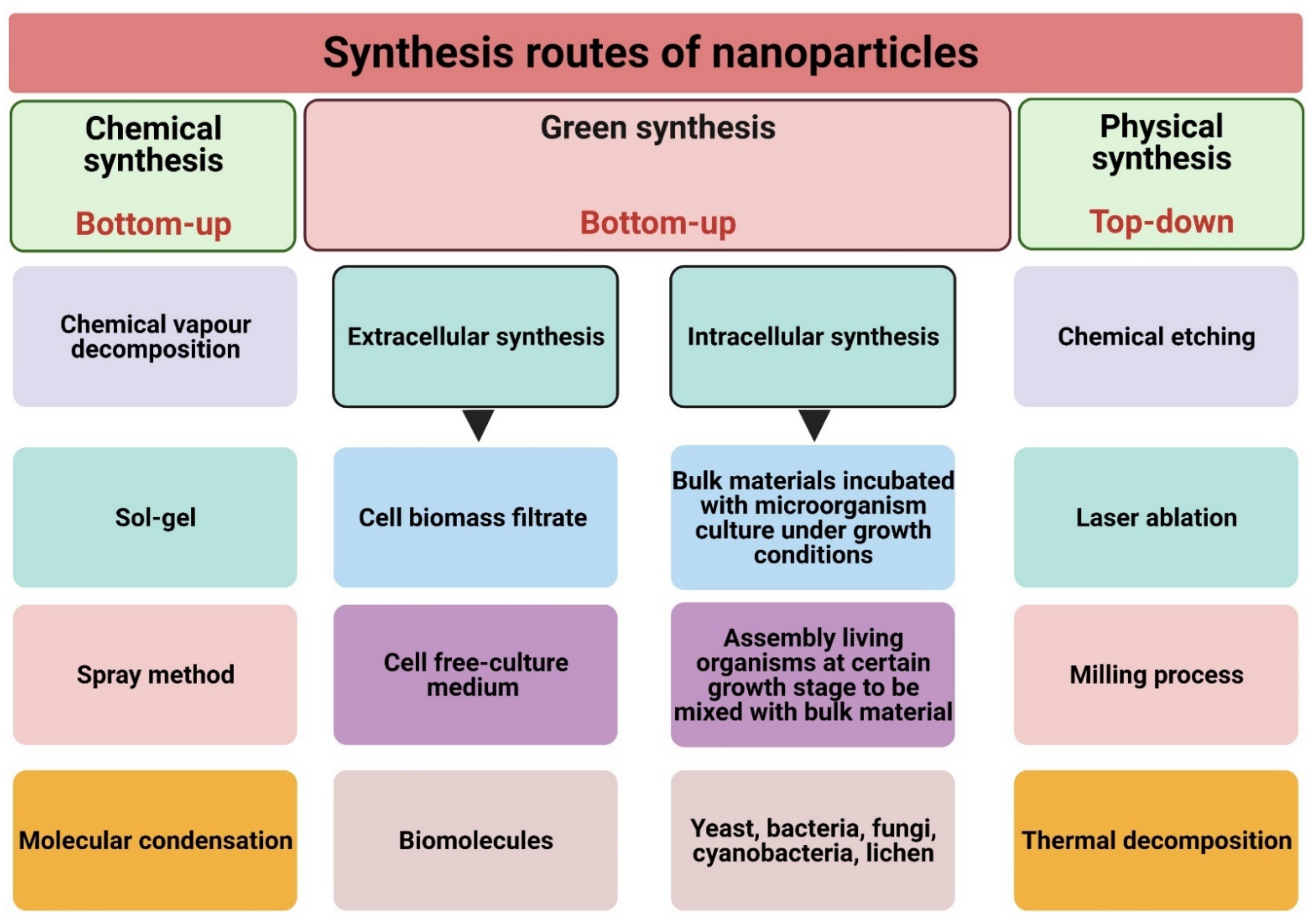 Jof 07 00291 g002 Jof 07 00291 g002