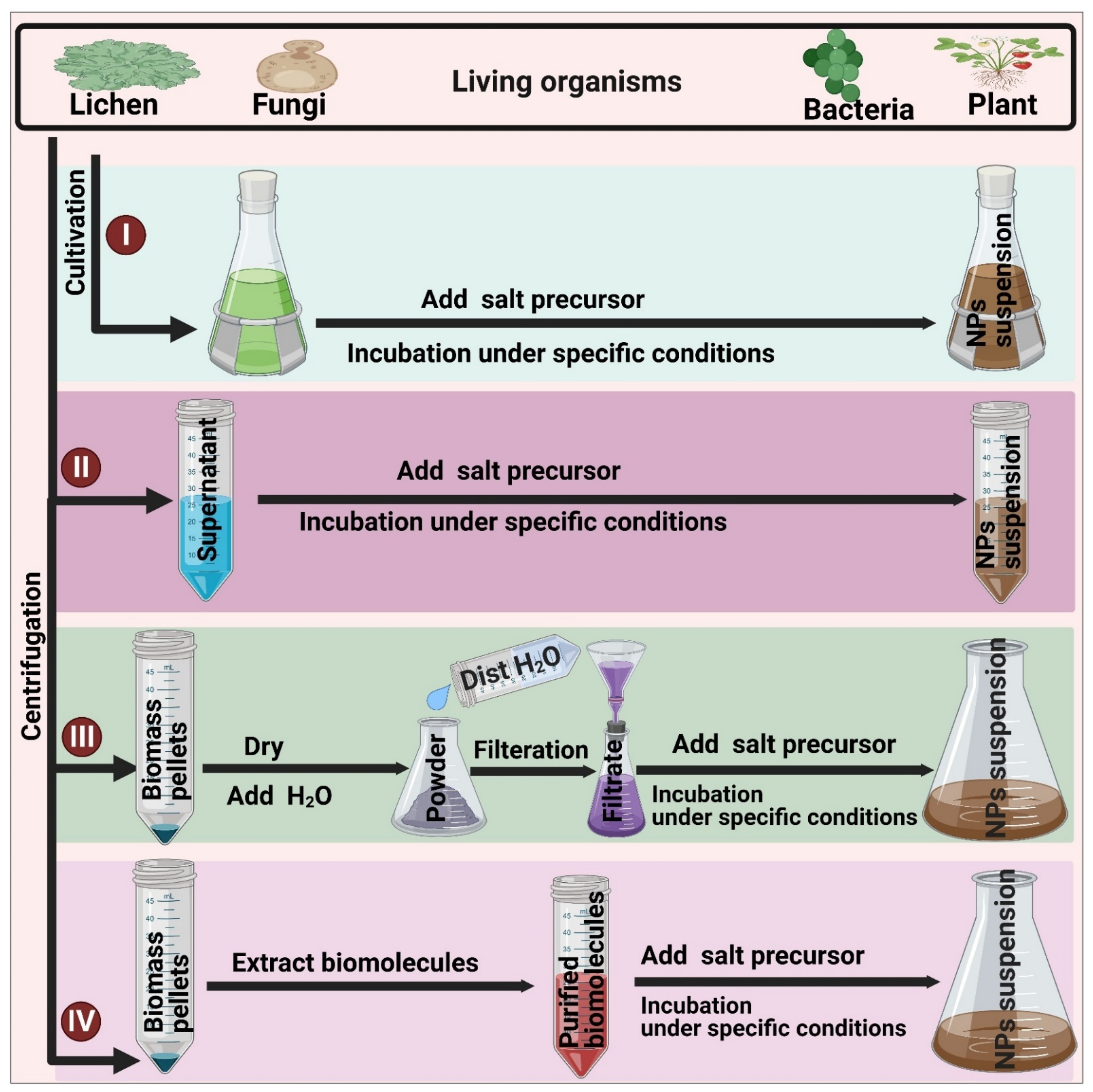 Jof 07 00291 g003 Jof 07 00291 g003