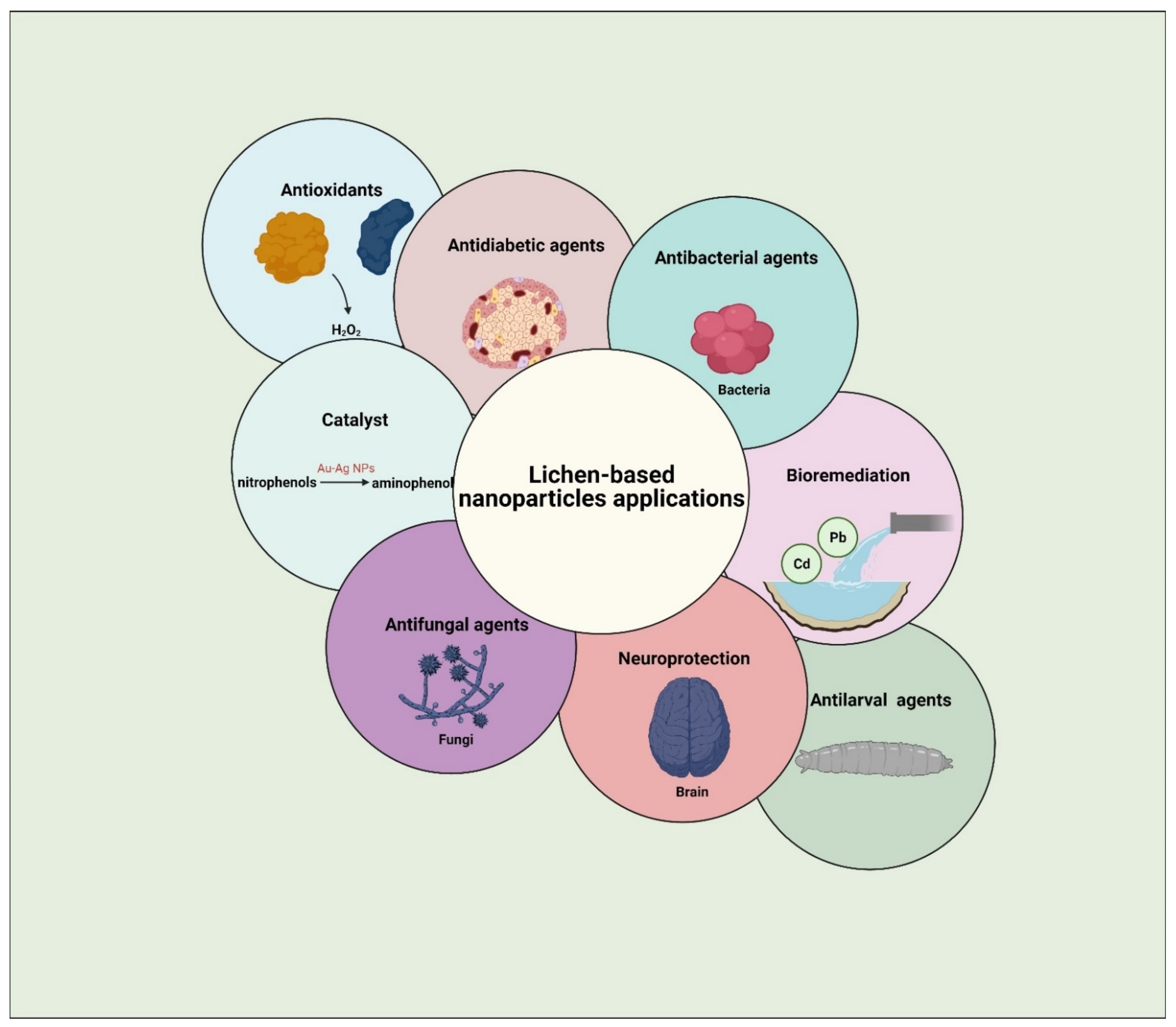 Jof 07 00291 g005 Jof 07 00291 g005