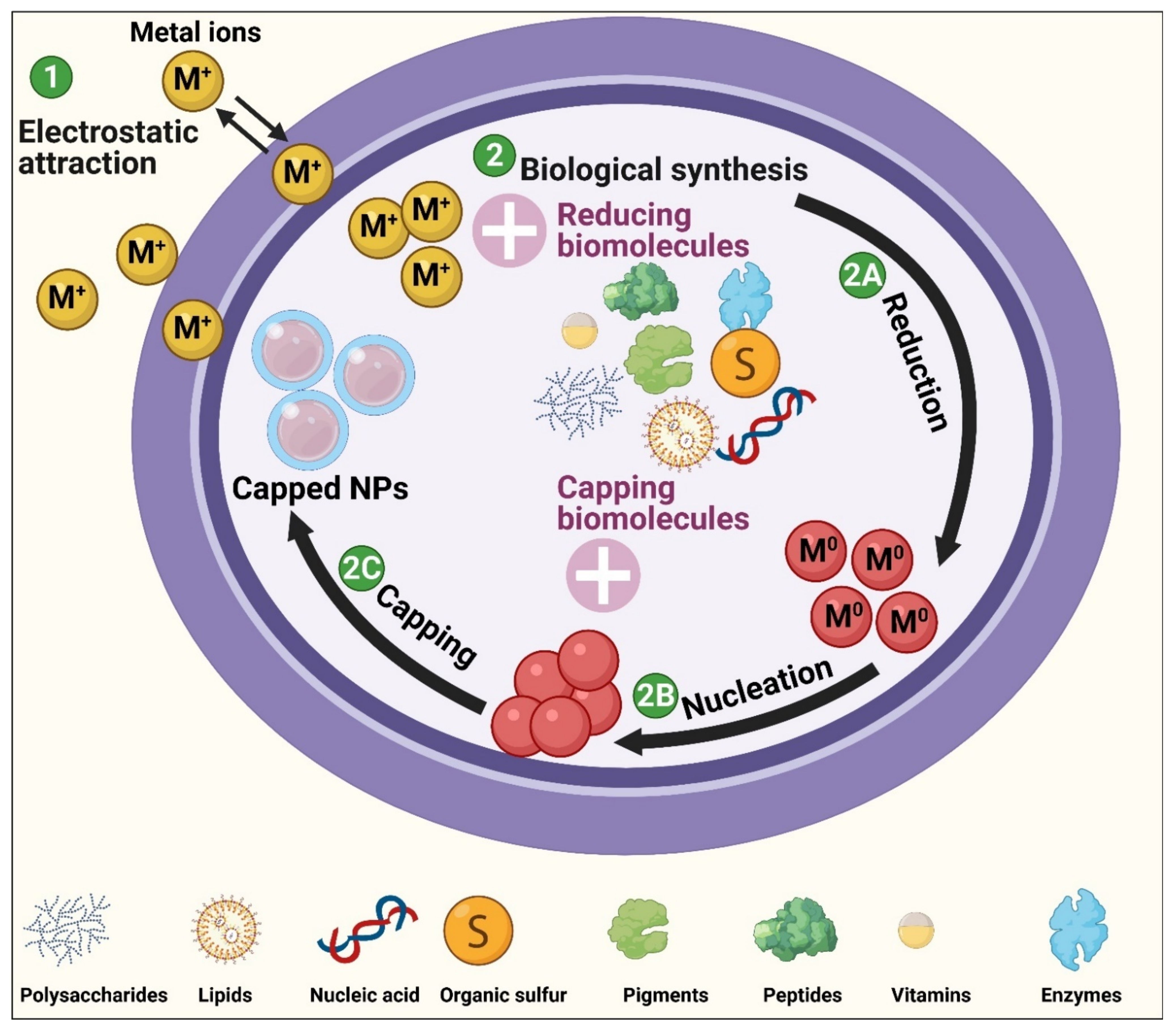 Jof 07 00291 g007 Jof 07 00291 g007