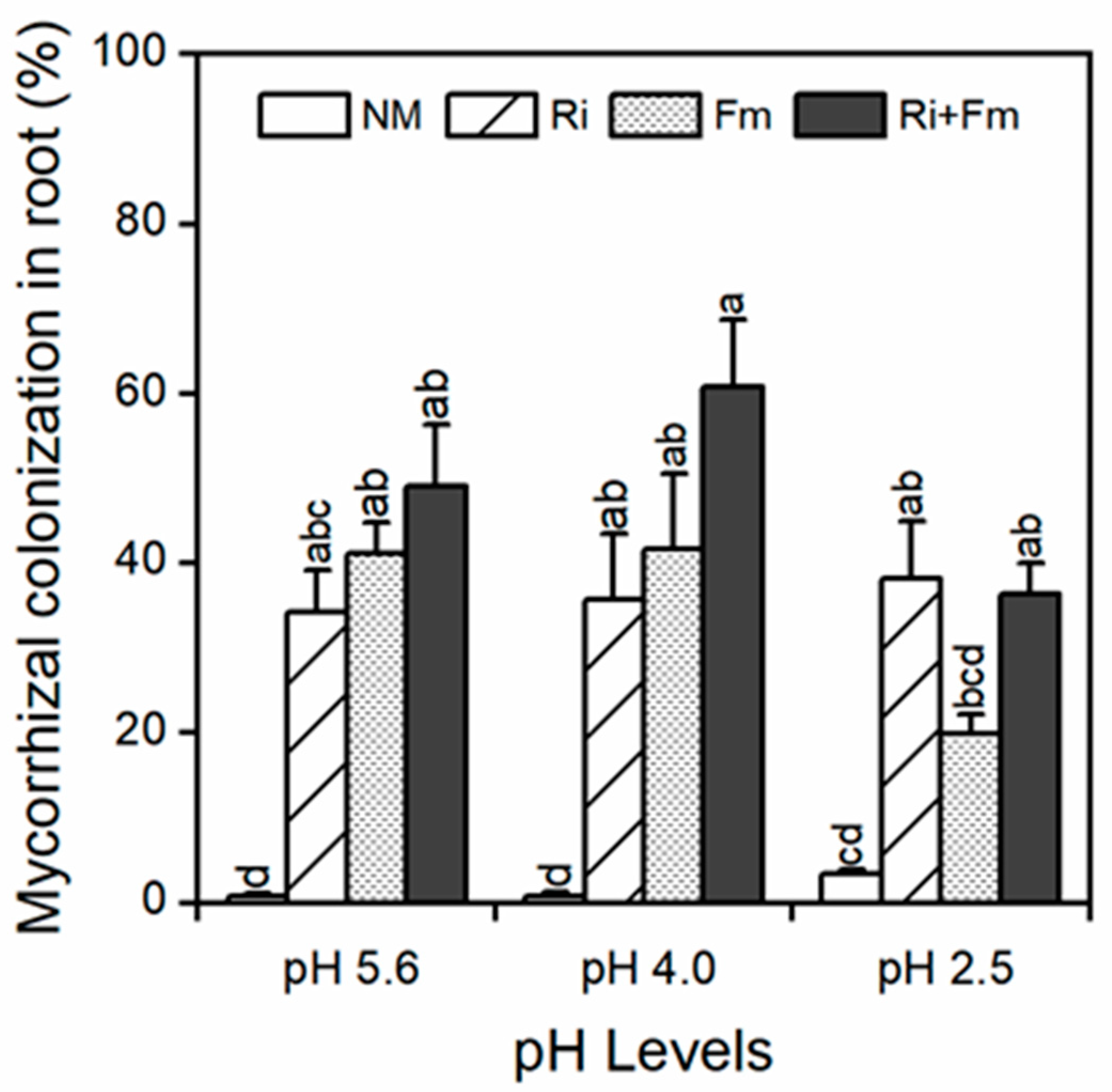 Jof 07 00296 g001 Jof 07 00296 g001