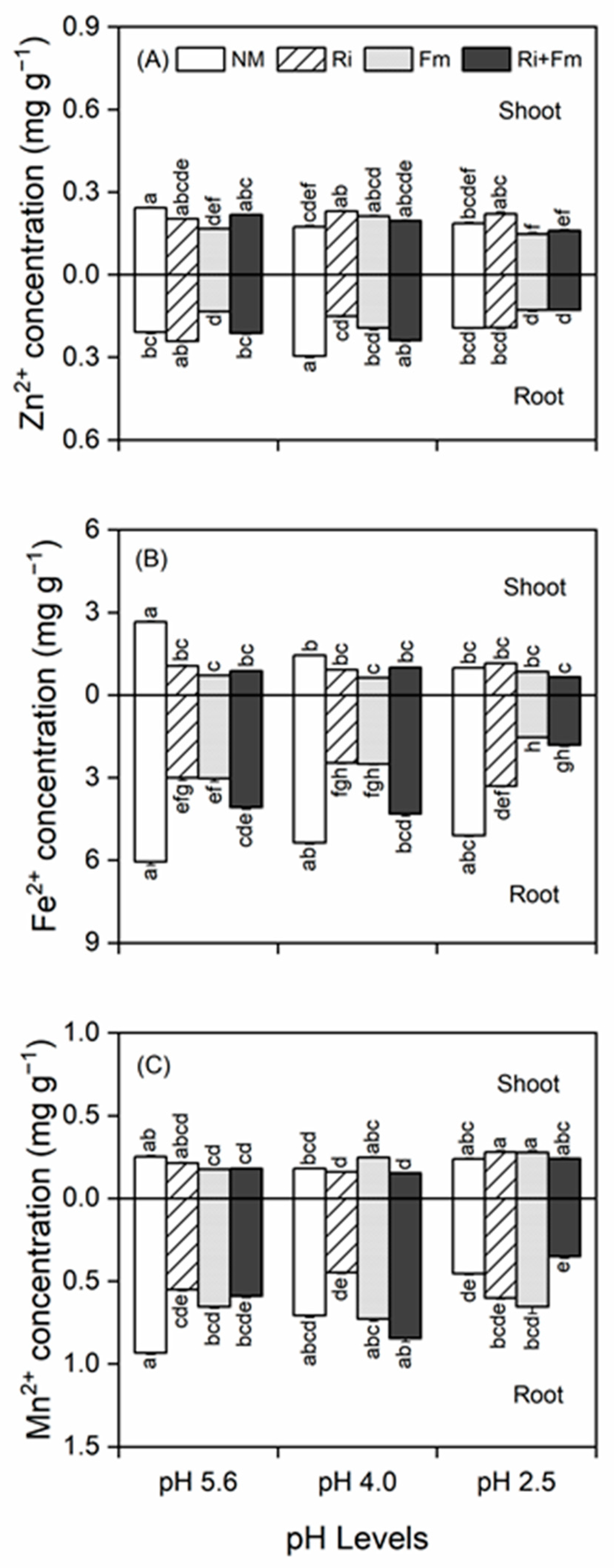 Jof 07 00296 g004 Jof 07 00296 g004