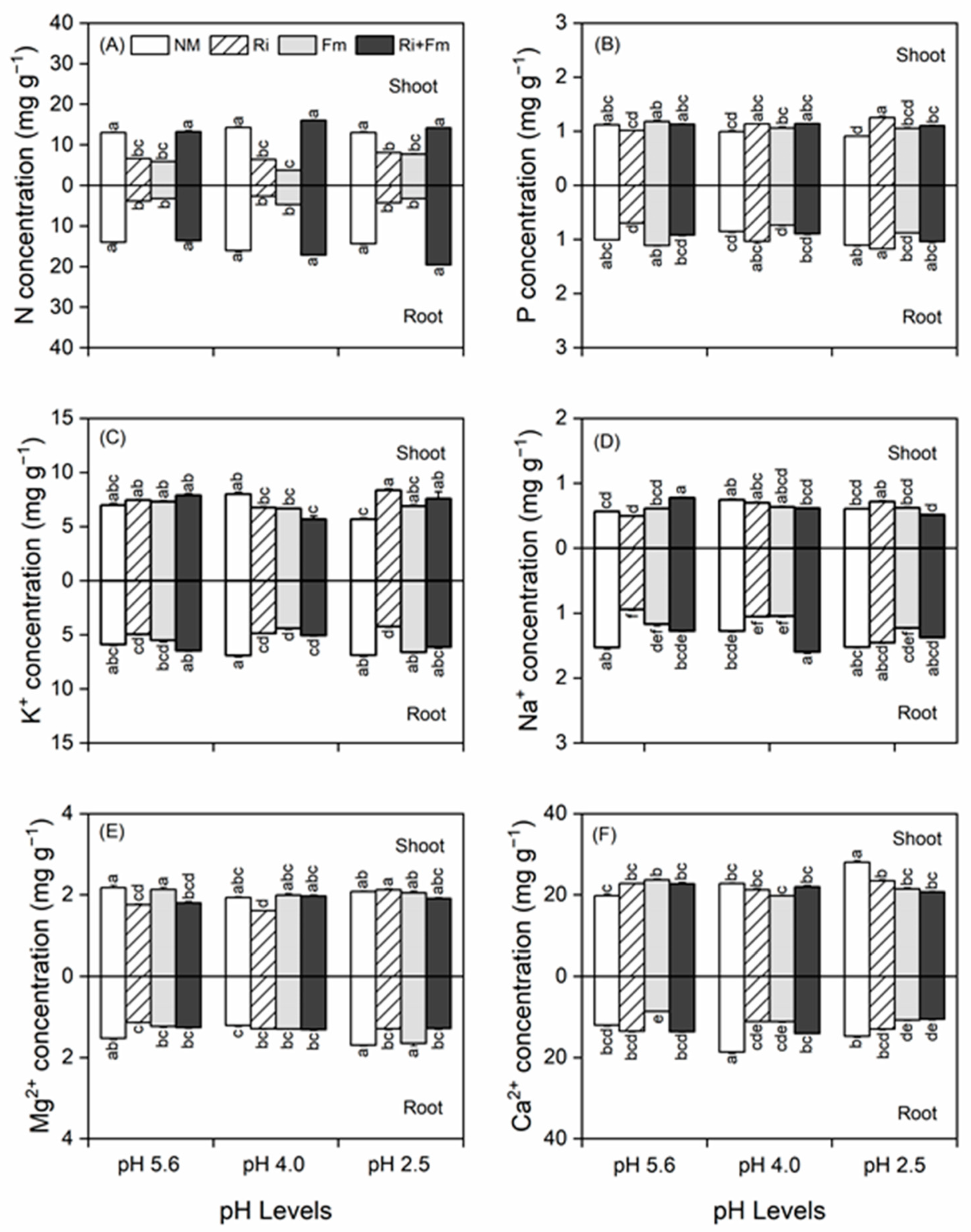 Jof 07 00296 g005 Jof 07 00296 g005