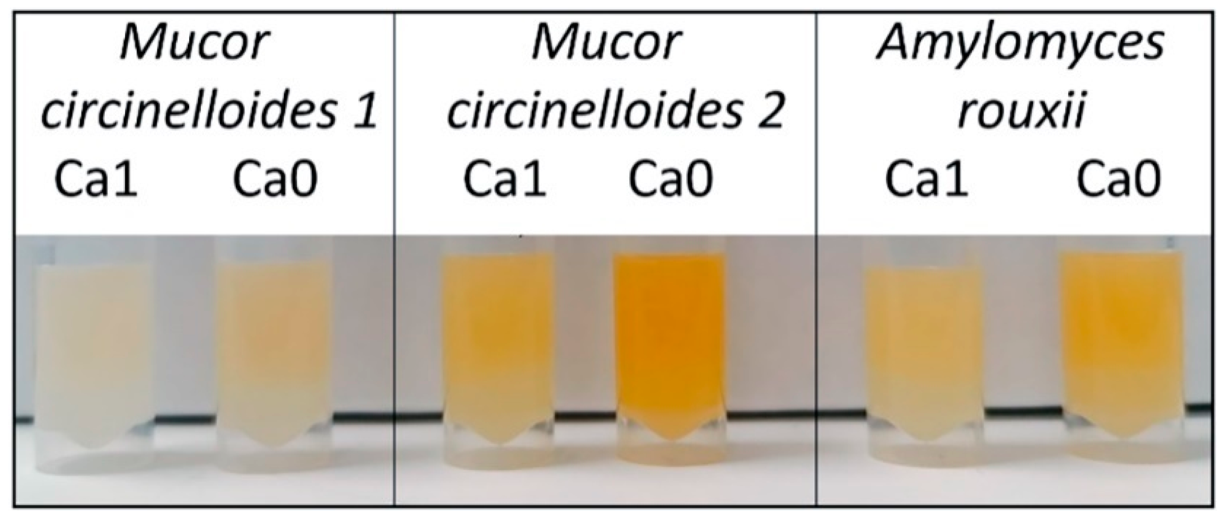 Jof 07 00300 g008 Jof 07 00300 g008