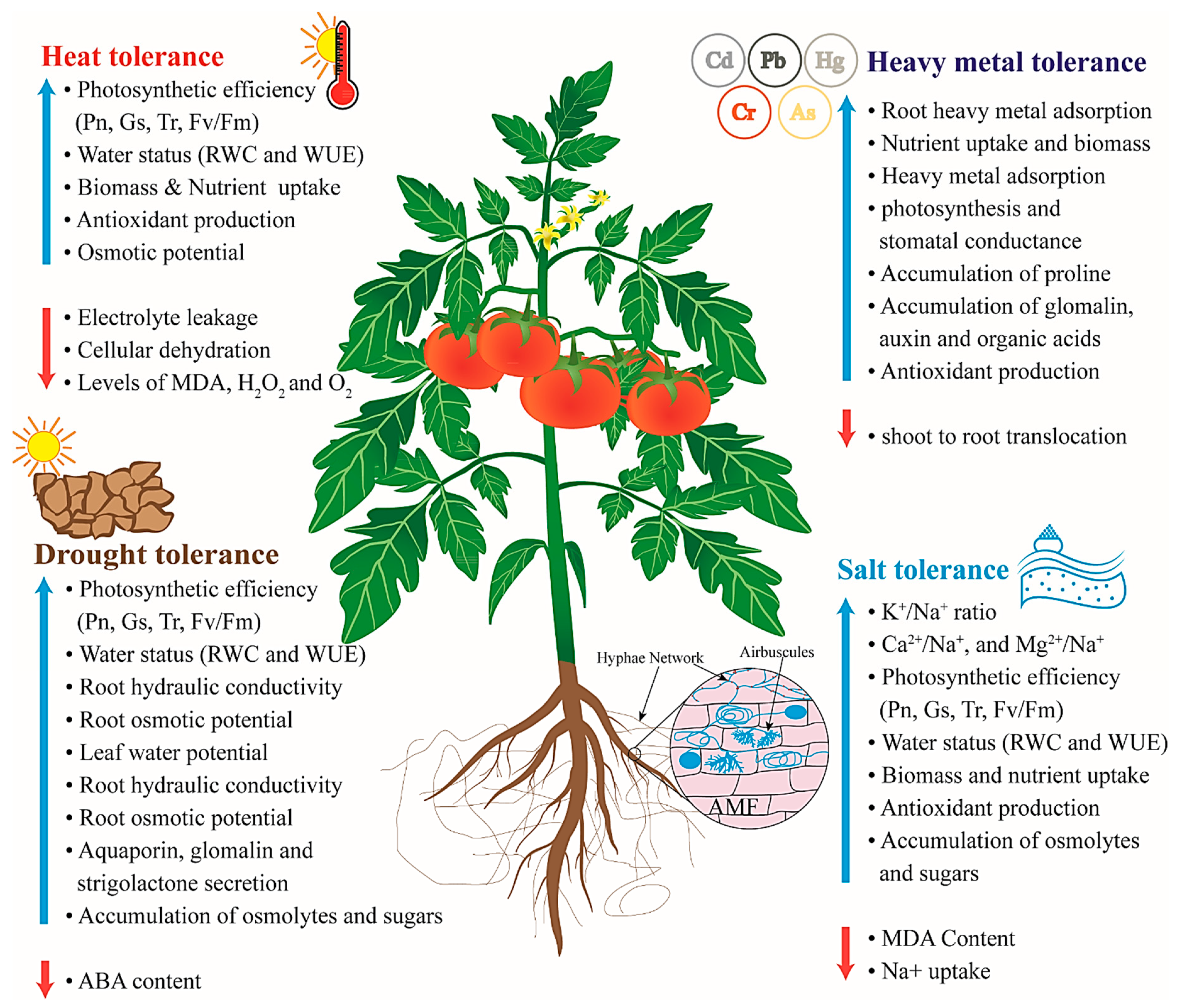 Jof 07 00303 g001 Jof 07 00303 g001