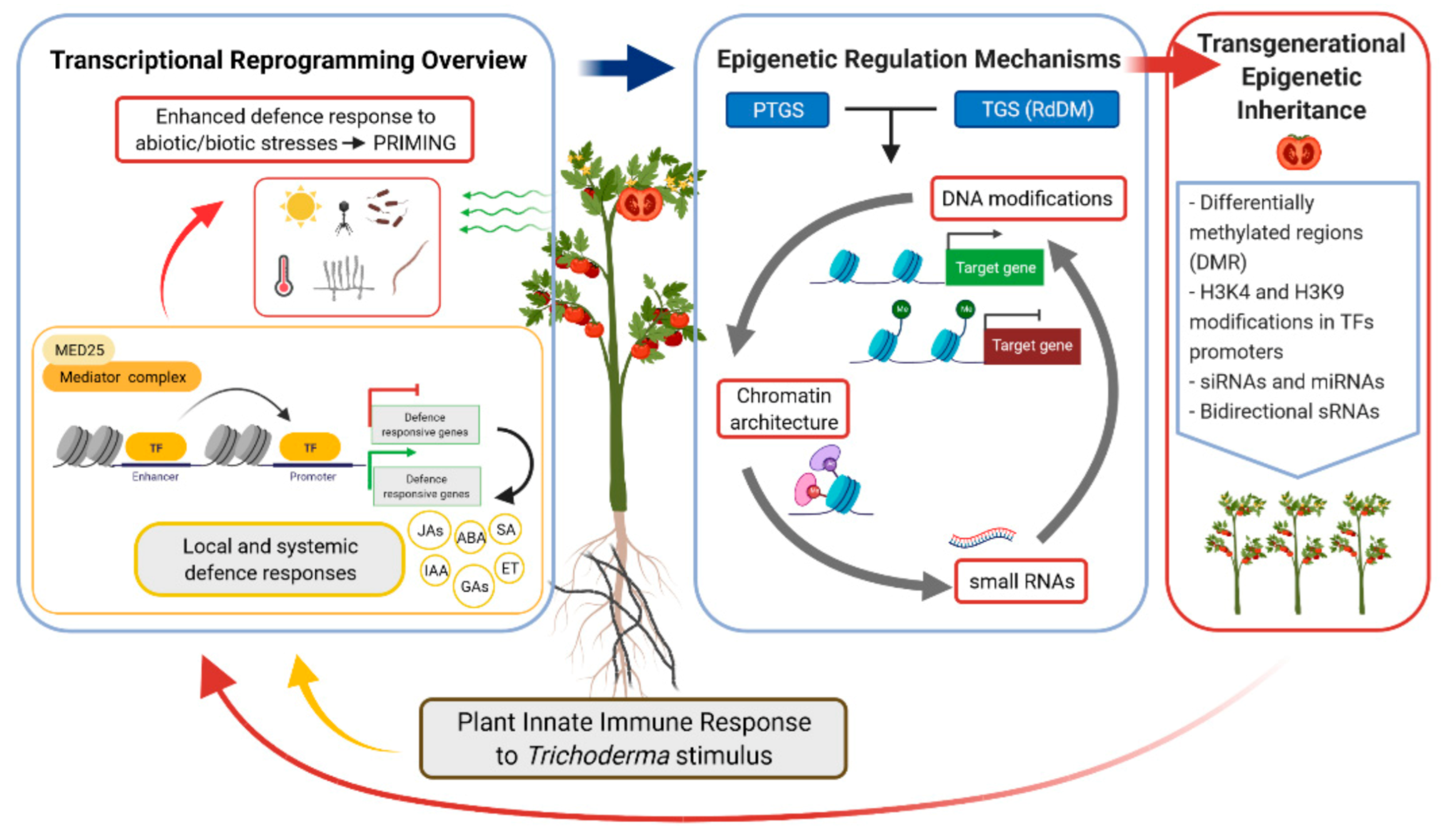 Jof 07 00318 g002 Jof 07 00318 g002