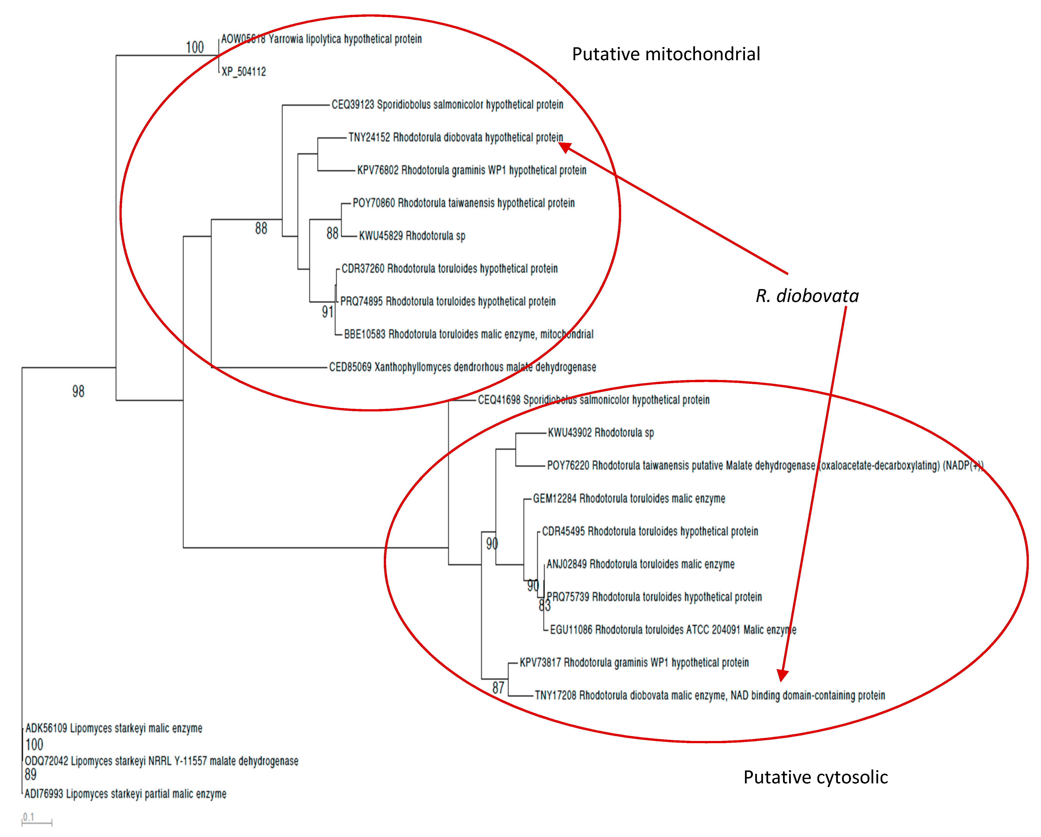 Jof 07 00320 g001 Jof 07 00320 g001