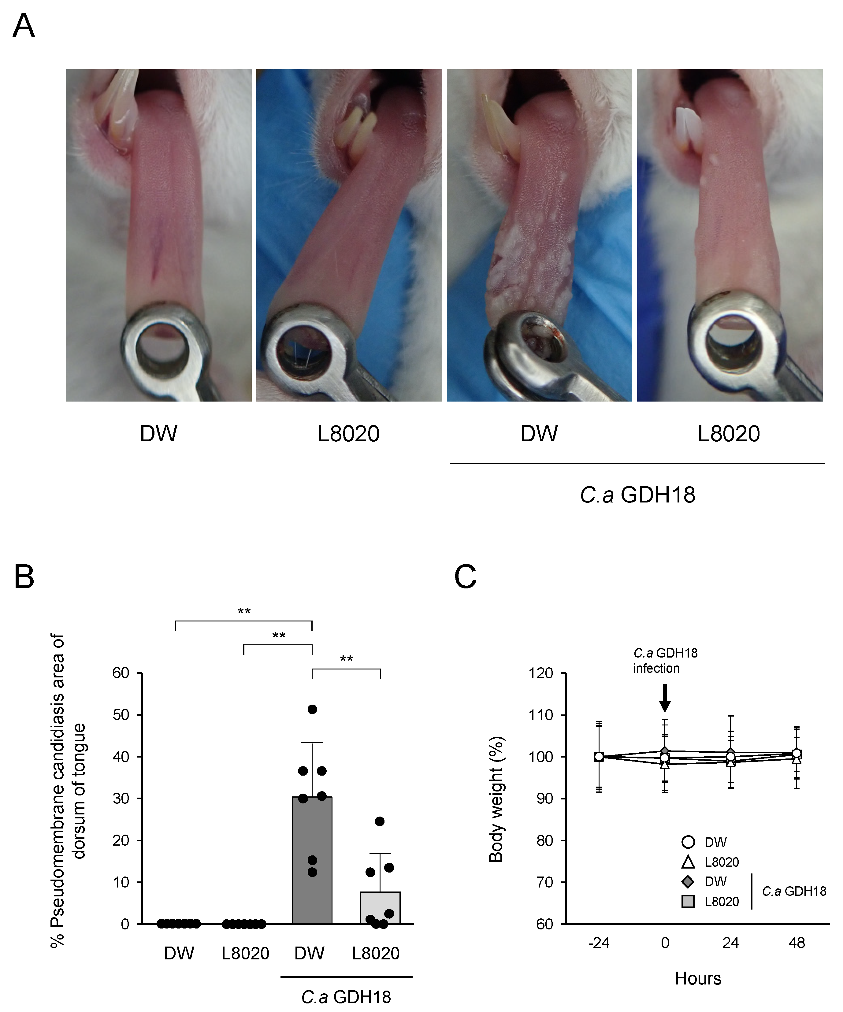 Jof 07 00322 g002 Jof 07 00322 g002