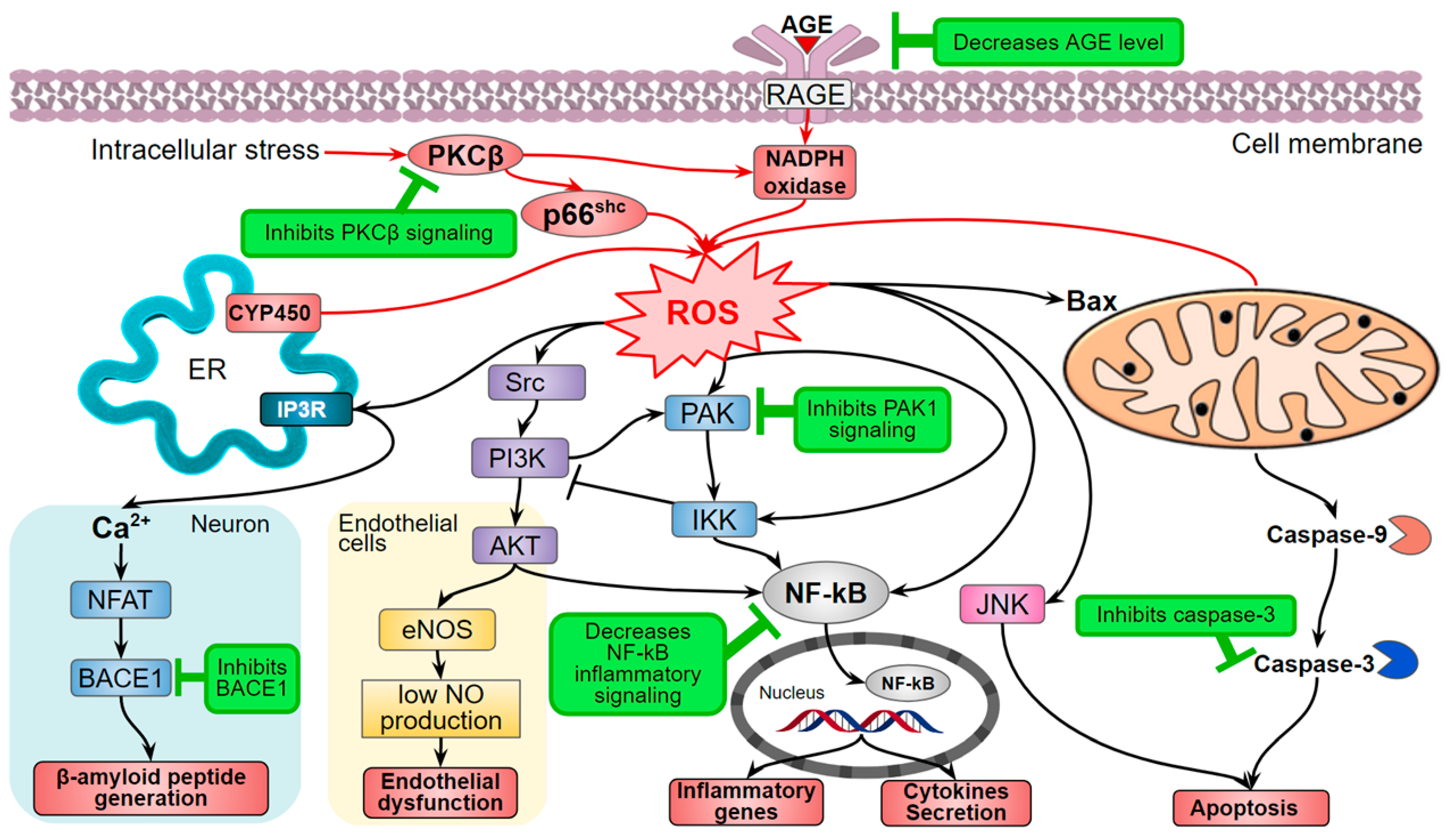 Jof 07 00323 g002 Jof 07 00323 g002