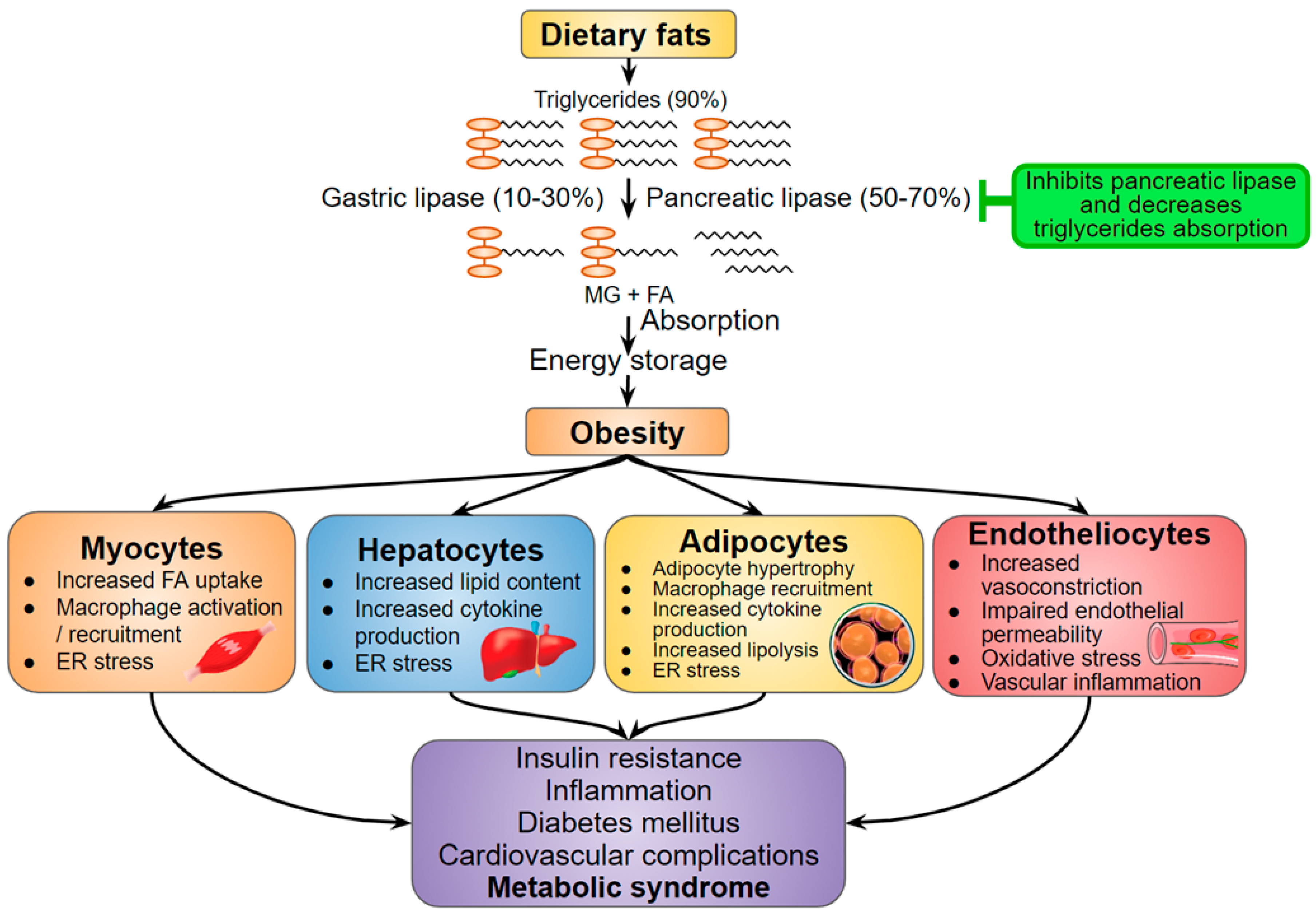 Jof 07 00323 g003 Jof 07 00323 g003