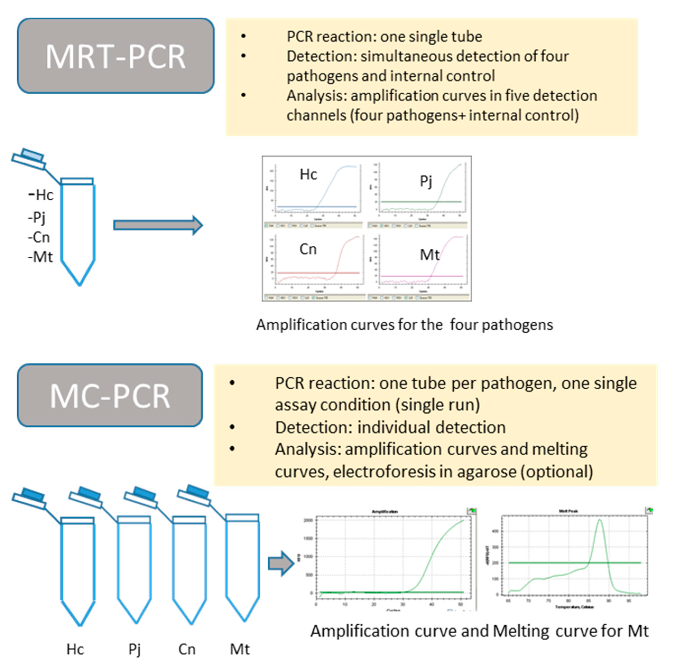 Jof 07 00336 g001 Jof 07 00336 g001