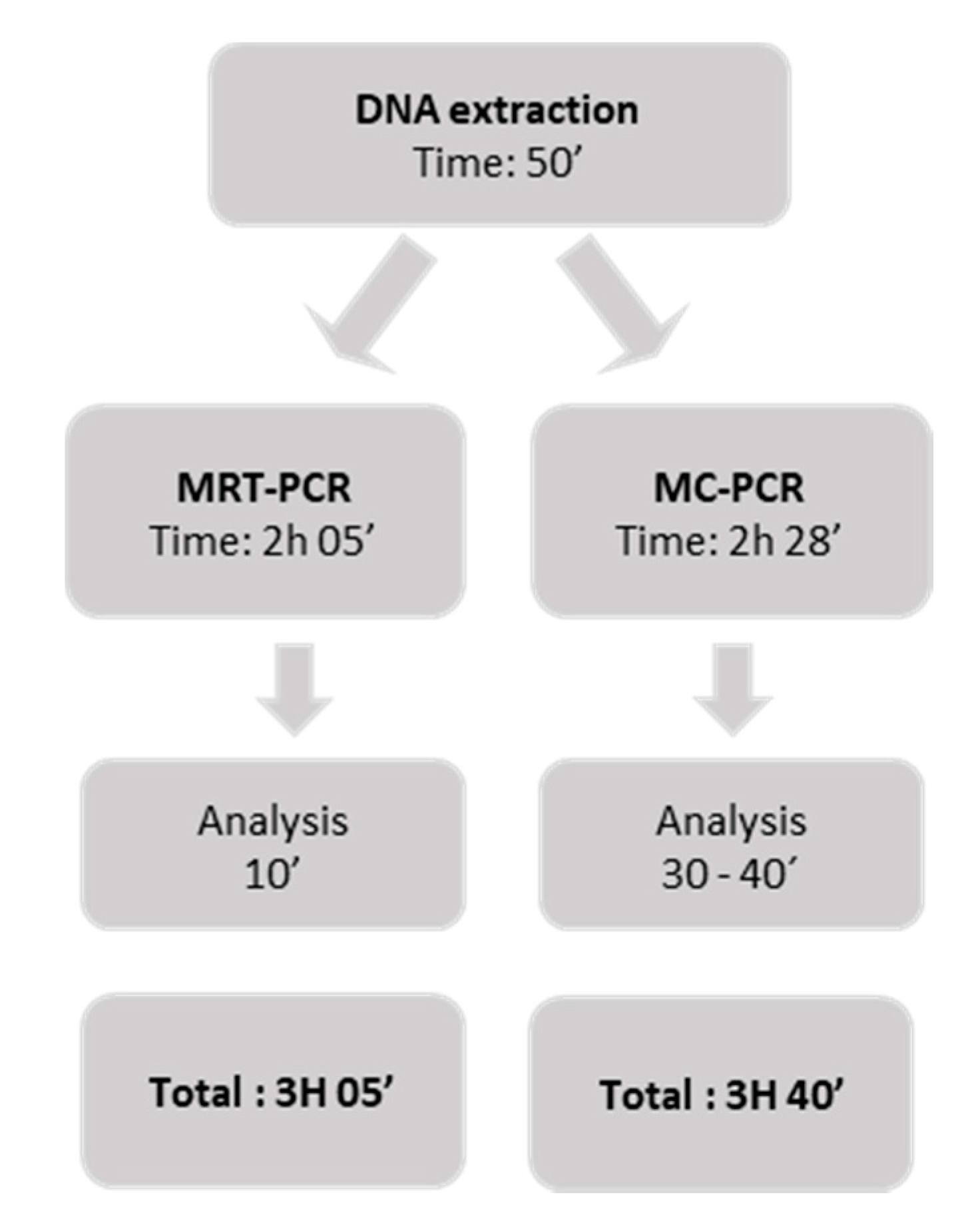 Jof 07 00336 g002 Jof 07 00336 g002